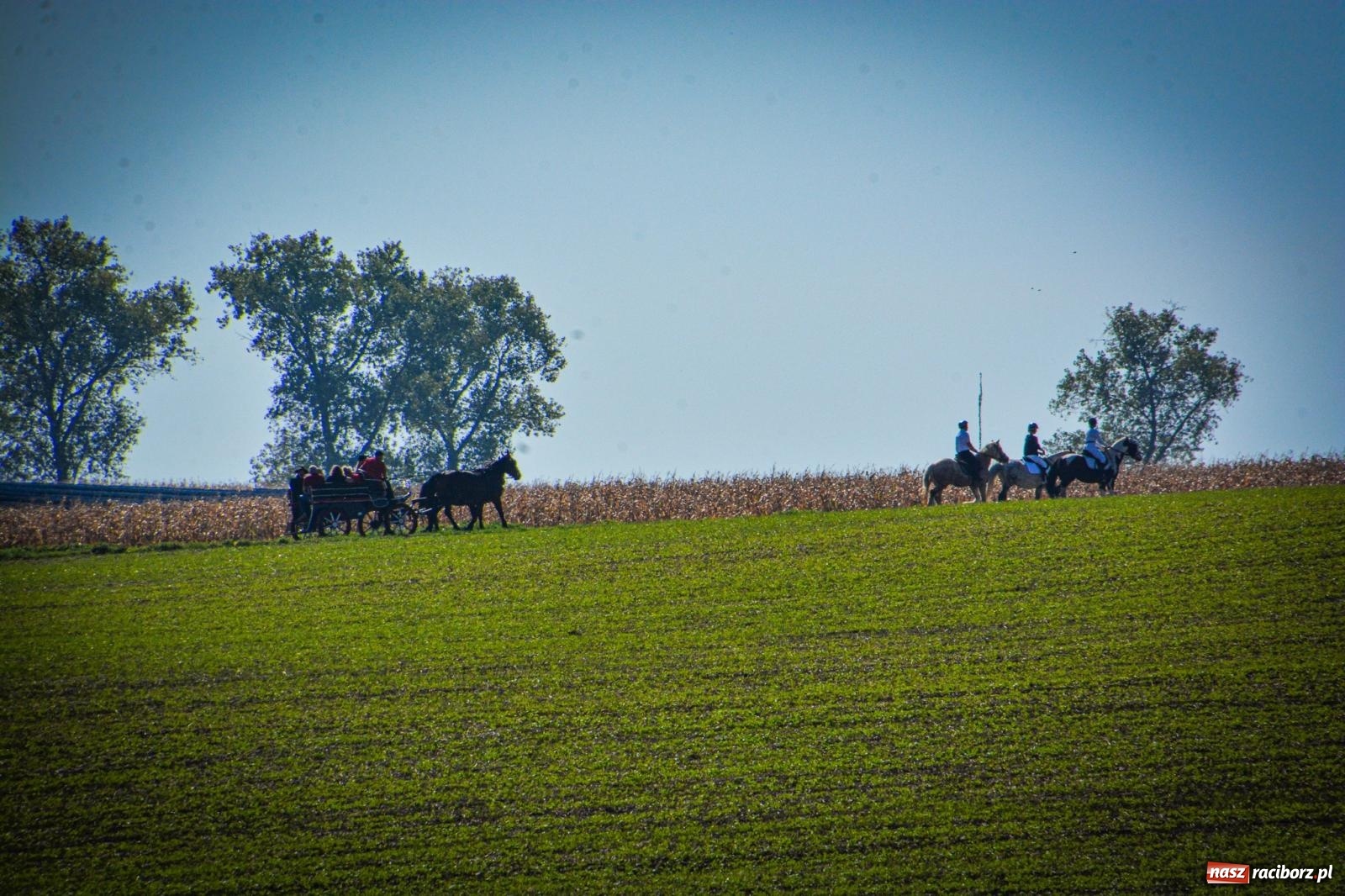 Zdjęcie w galerii na portalu naszraciborz.pl: Słoneczny Hubertus w Żerdzinach. Lisią kitę zerwał Jakub Niedbała wiadomości z regionu