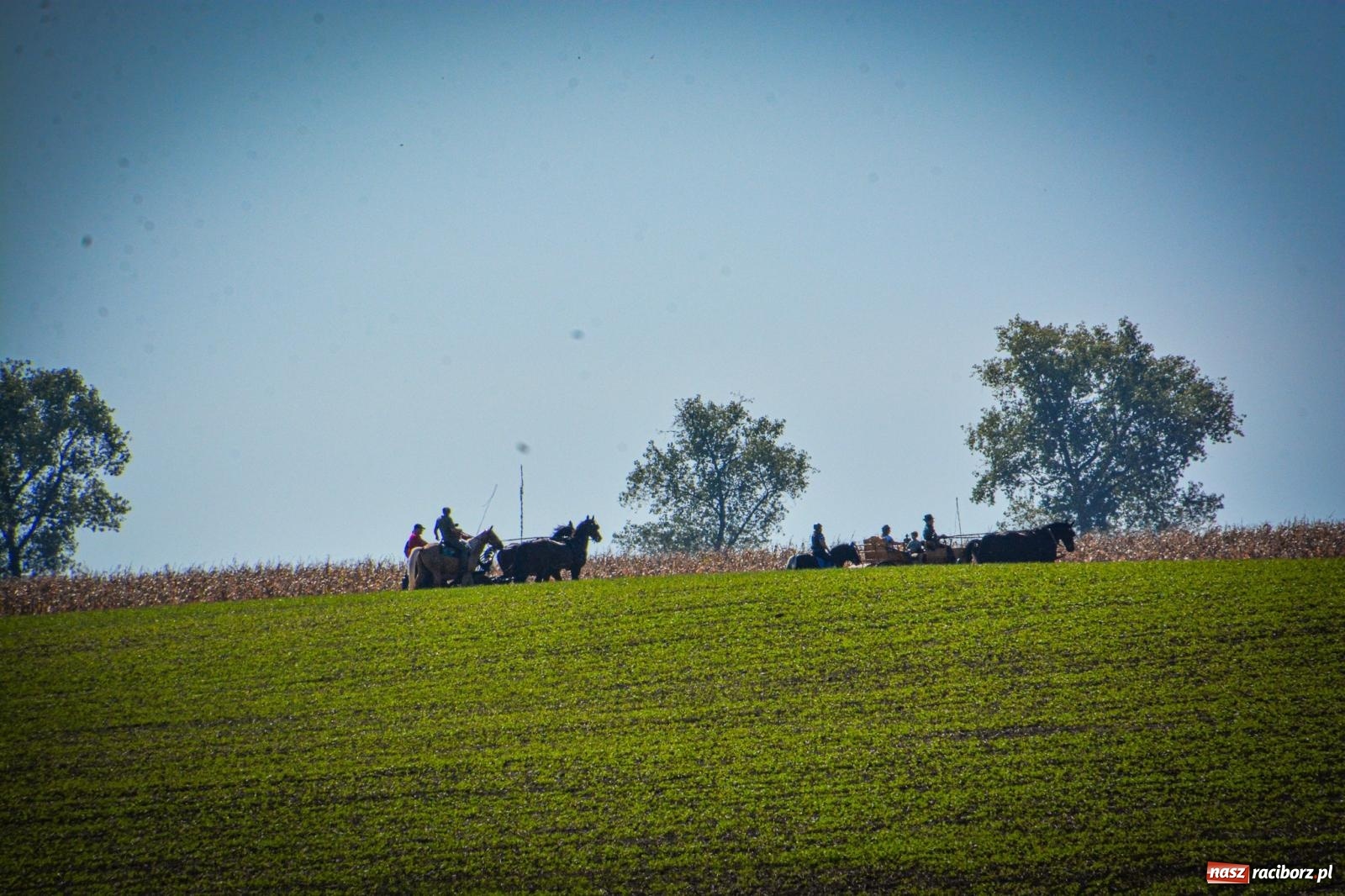 Zdjęcie w galerii na portalu naszraciborz.pl: Słoneczny Hubertus w Żerdzinach. Lisią kitę zerwał Jakub Niedbała wiadomości z regionu