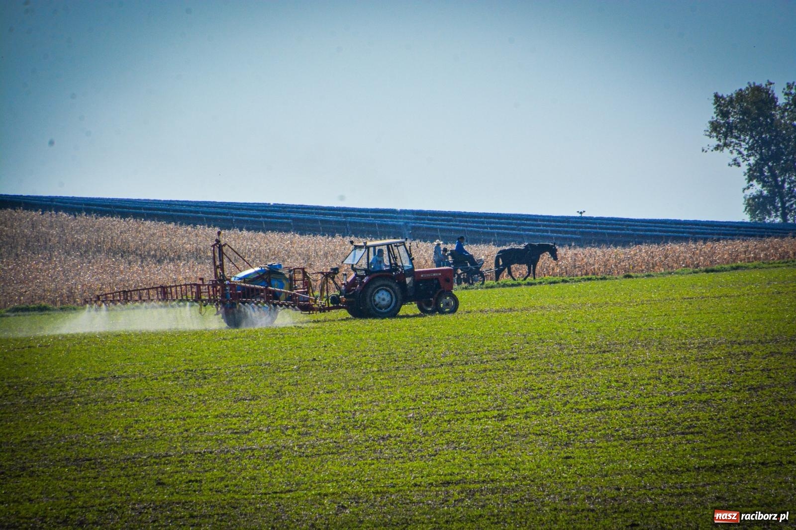 Zdjęcie w galerii na portalu naszraciborz.pl: Słoneczny Hubertus w Żerdzinach. Lisią kitę zerwał Jakub Niedbała wiadomości z regionu