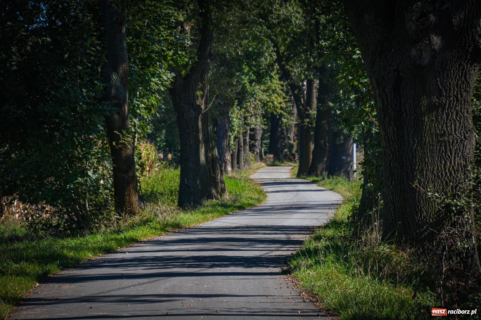 Zdjęcie w galerii na portalu naszraciborz.pl: Słoneczny Hubertus w Żerdzinach. Lisią kitę zerwał Jakub Niedbała wiadomości z regionu