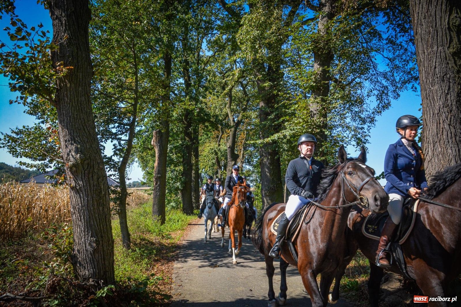 Zdjęcie w galerii na portalu naszraciborz.pl: Słoneczny Hubertus w Żerdzinach. Lisią kitę zerwał Jakub Niedbała wiadomości z regionu