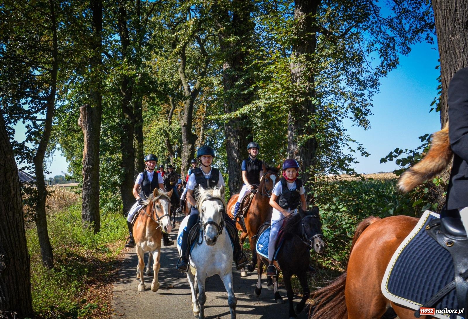 Zdjęcie w galerii na portalu naszraciborz.pl: Słoneczny Hubertus w Żerdzinach. Lisią kitę zerwał Jakub Niedbała wiadomości z regionu