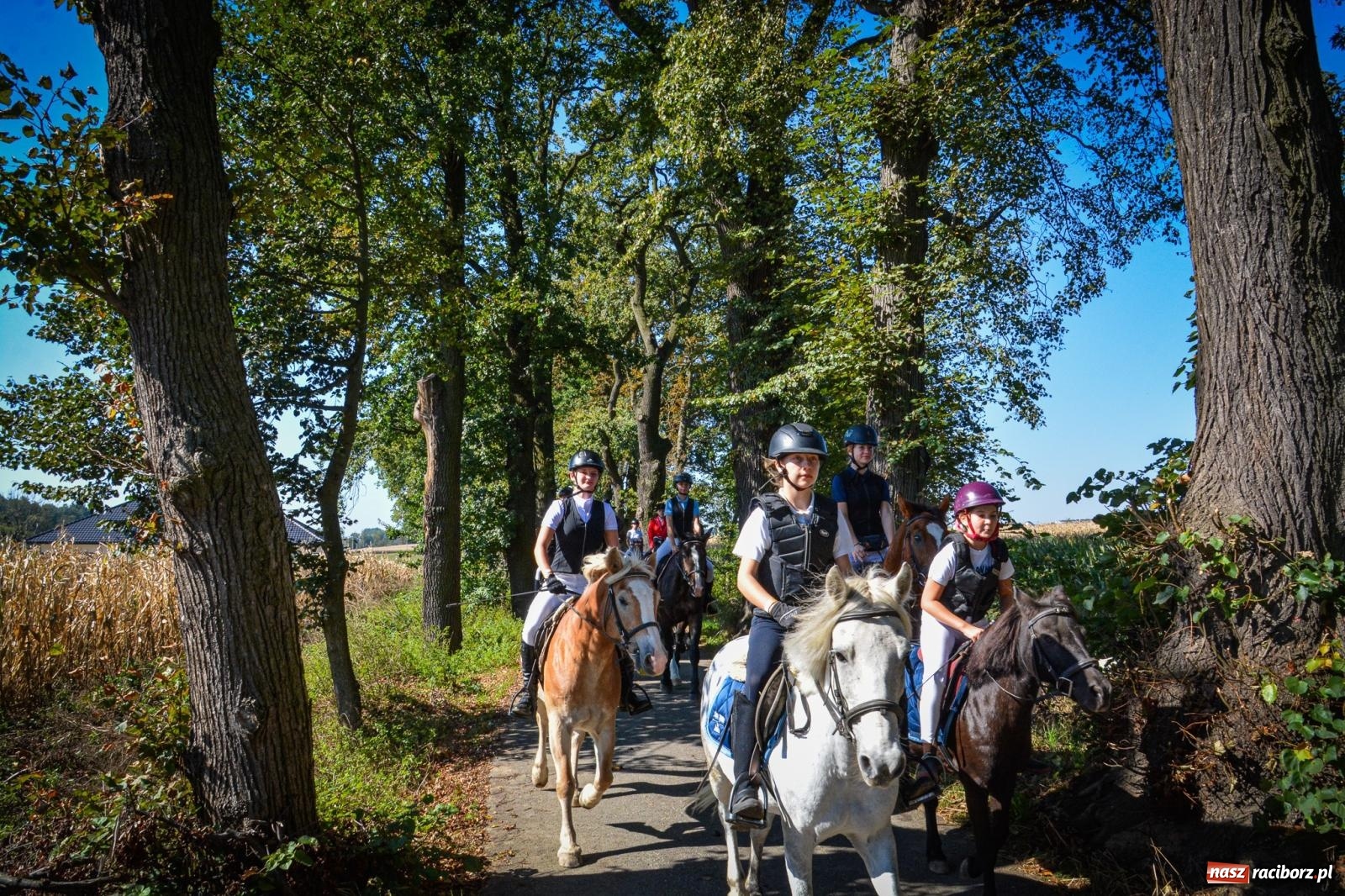 Zdjęcie w galerii na portalu naszraciborz.pl: Słoneczny Hubertus w Żerdzinach. Lisią kitę zerwał Jakub Niedbała wiadomości z regionu