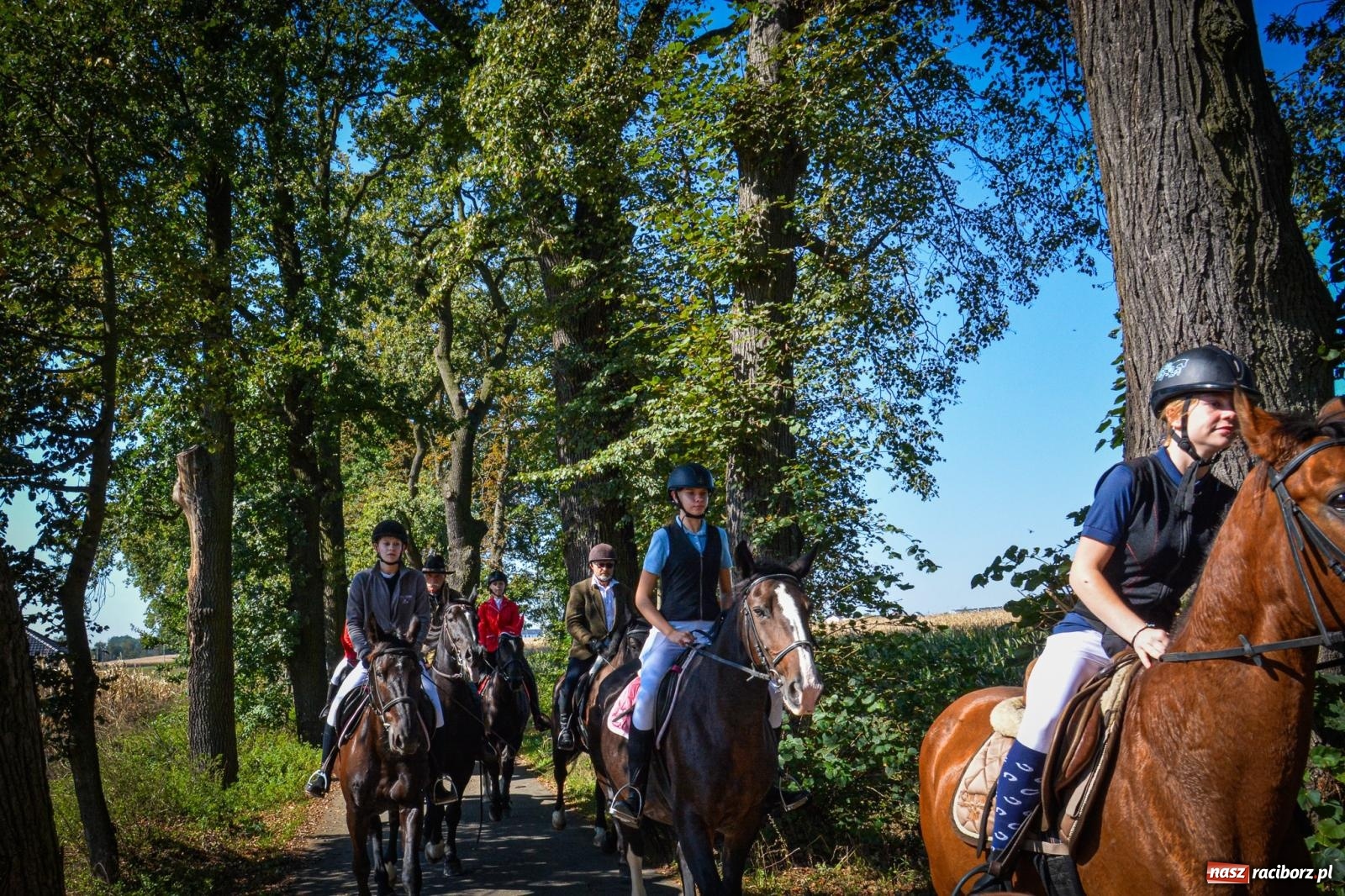 Zdjęcie w galerii na portalu naszraciborz.pl: Słoneczny Hubertus w Żerdzinach. Lisią kitę zerwał Jakub Niedbała wiadomości z regionu