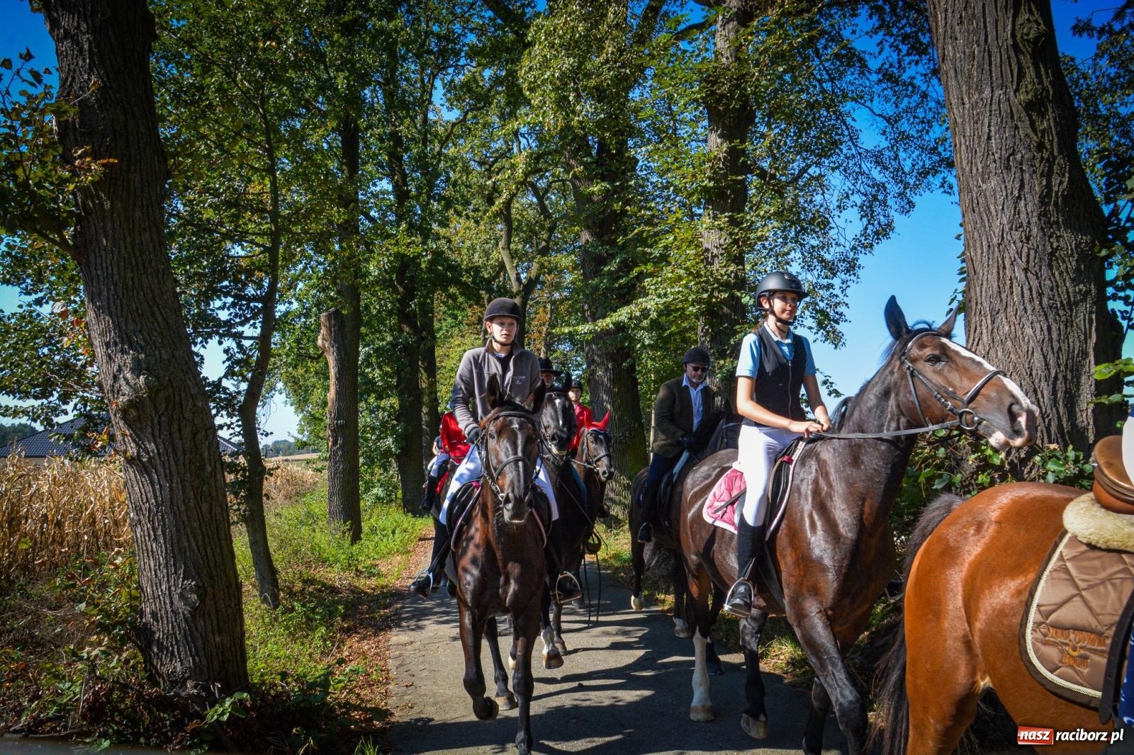 Zdjęcie w galerii na portalu naszraciborz.pl: Słoneczny Hubertus w Żerdzinach. Lisią kitę zerwał Jakub Niedbała wiadomości z regionu