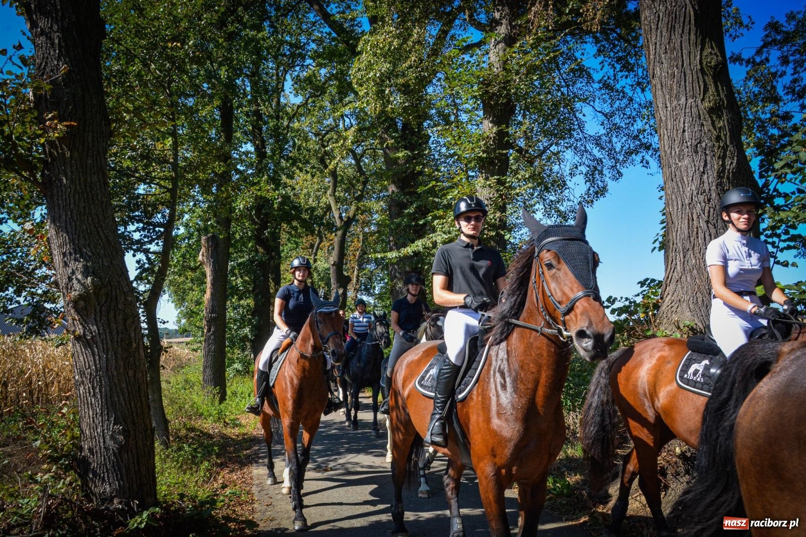 Zdjęcie w galerii na portalu naszraciborz.pl: Słoneczny Hubertus w Żerdzinach. Lisią kitę zerwał Jakub Niedbała wiadomości z regionu
