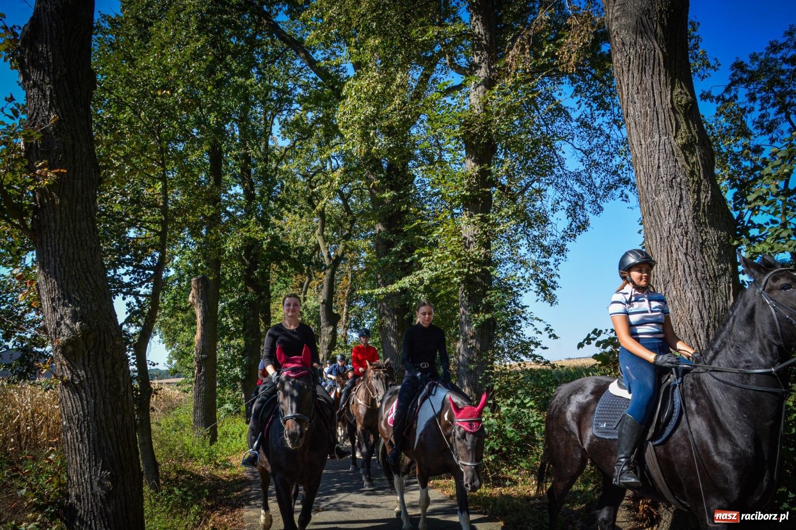 Zdjęcie w galerii na portalu naszraciborz.pl: Słoneczny Hubertus w Żerdzinach. Lisią kitę zerwał Jakub Niedbała wiadomości z regionu