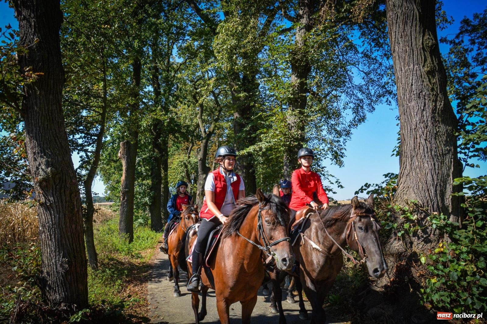 Zdjęcie w galerii na portalu naszraciborz.pl: Słoneczny Hubertus w Żerdzinach. Lisią kitę zerwał Jakub Niedbała wiadomości z regionu