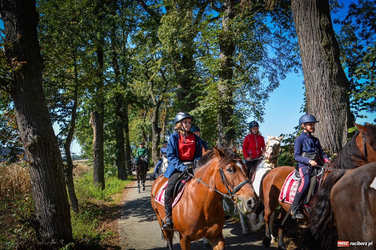 Zdjęcie w galerii na portalu naszraciborz.pl: Słoneczny Hubertus w Żerdzinach. Lisią kitę zerwał Jakub Niedbała wiadomości z regionu