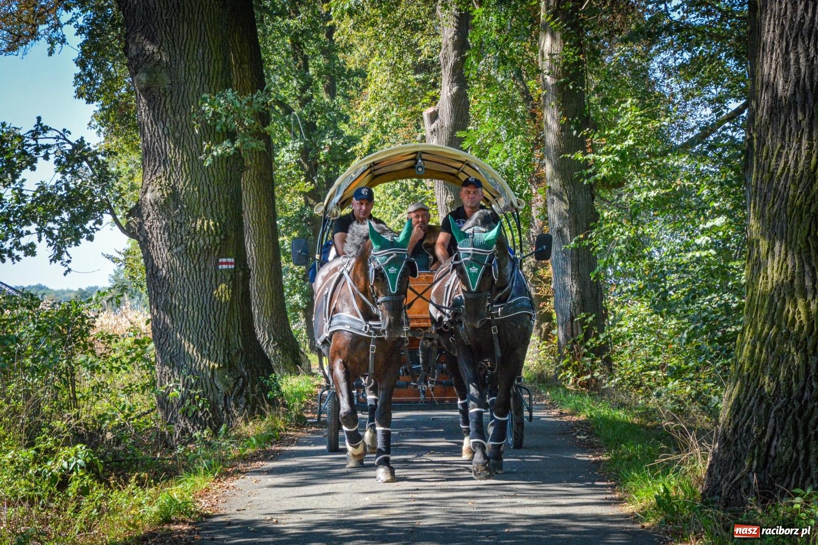 Zdjęcie w galerii na portalu naszraciborz.pl: Słoneczny Hubertus w Żerdzinach. Lisią kitę zerwał Jakub Niedbała wiadomości z regionu
