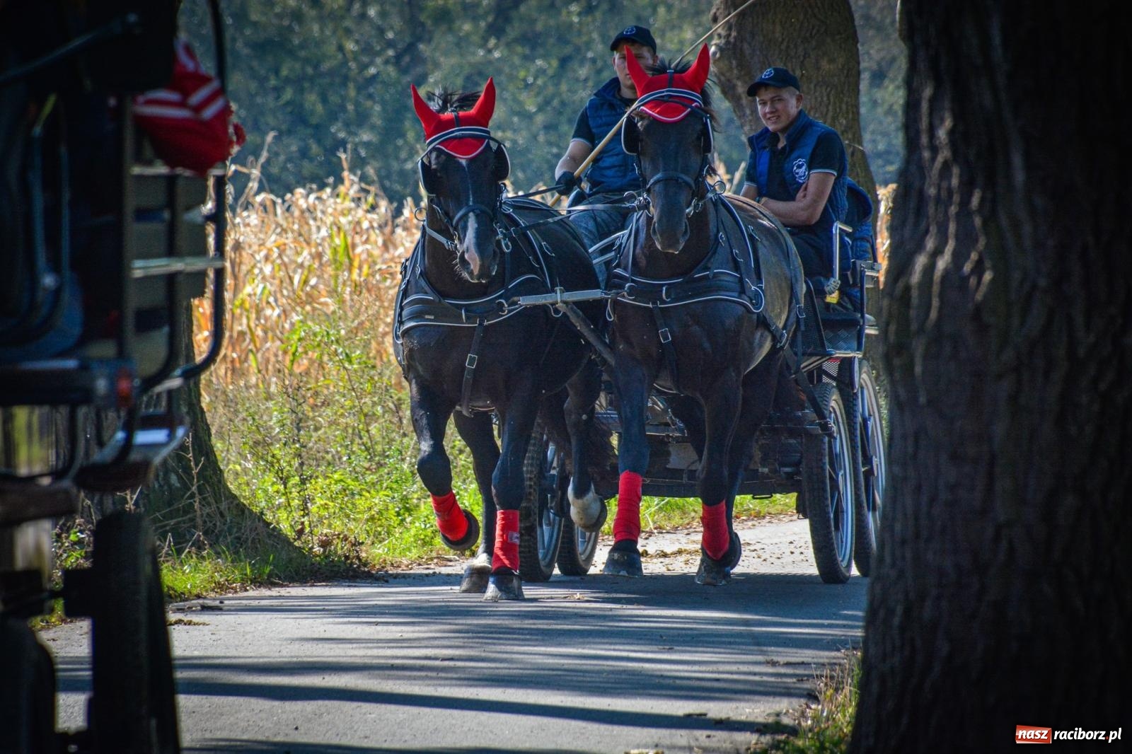 Zdjęcie w galerii na portalu naszraciborz.pl: Słoneczny Hubertus w Żerdzinach. Lisią kitę zerwał Jakub Niedbała wiadomości z regionu