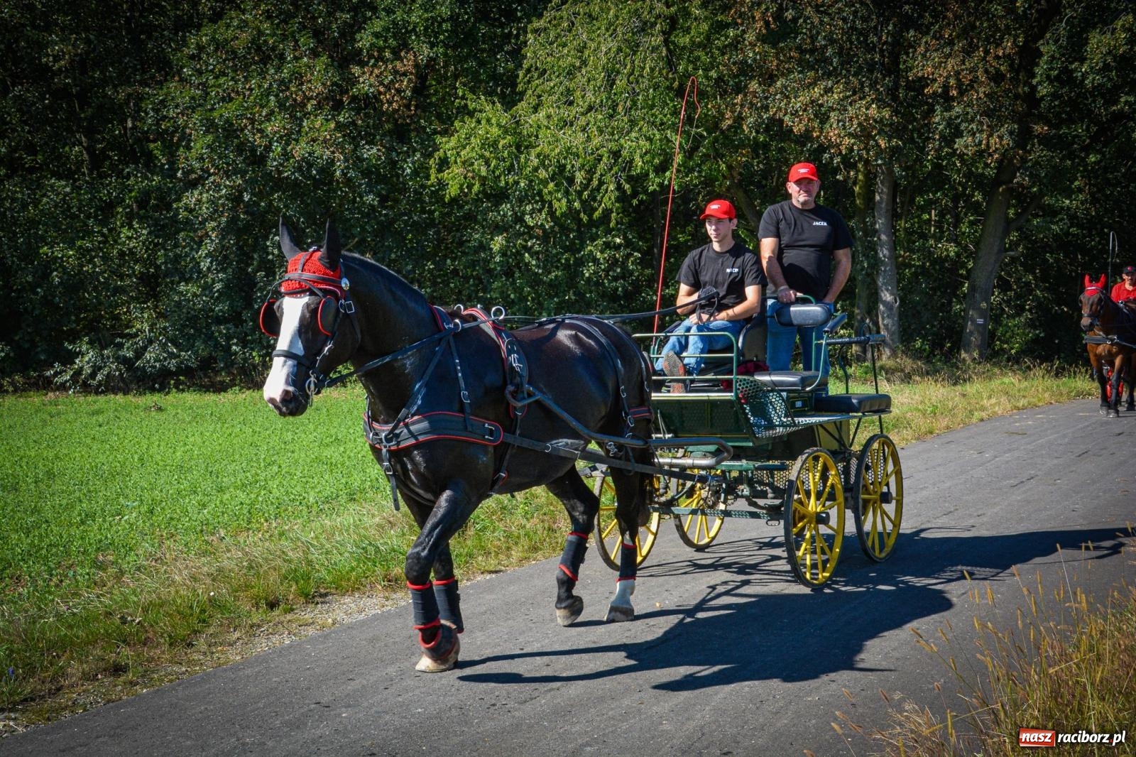 Zdjęcie w galerii na portalu naszraciborz.pl: Słoneczny Hubertus w Żerdzinach. Lisią kitę zerwał Jakub Niedbała wiadomości z regionu