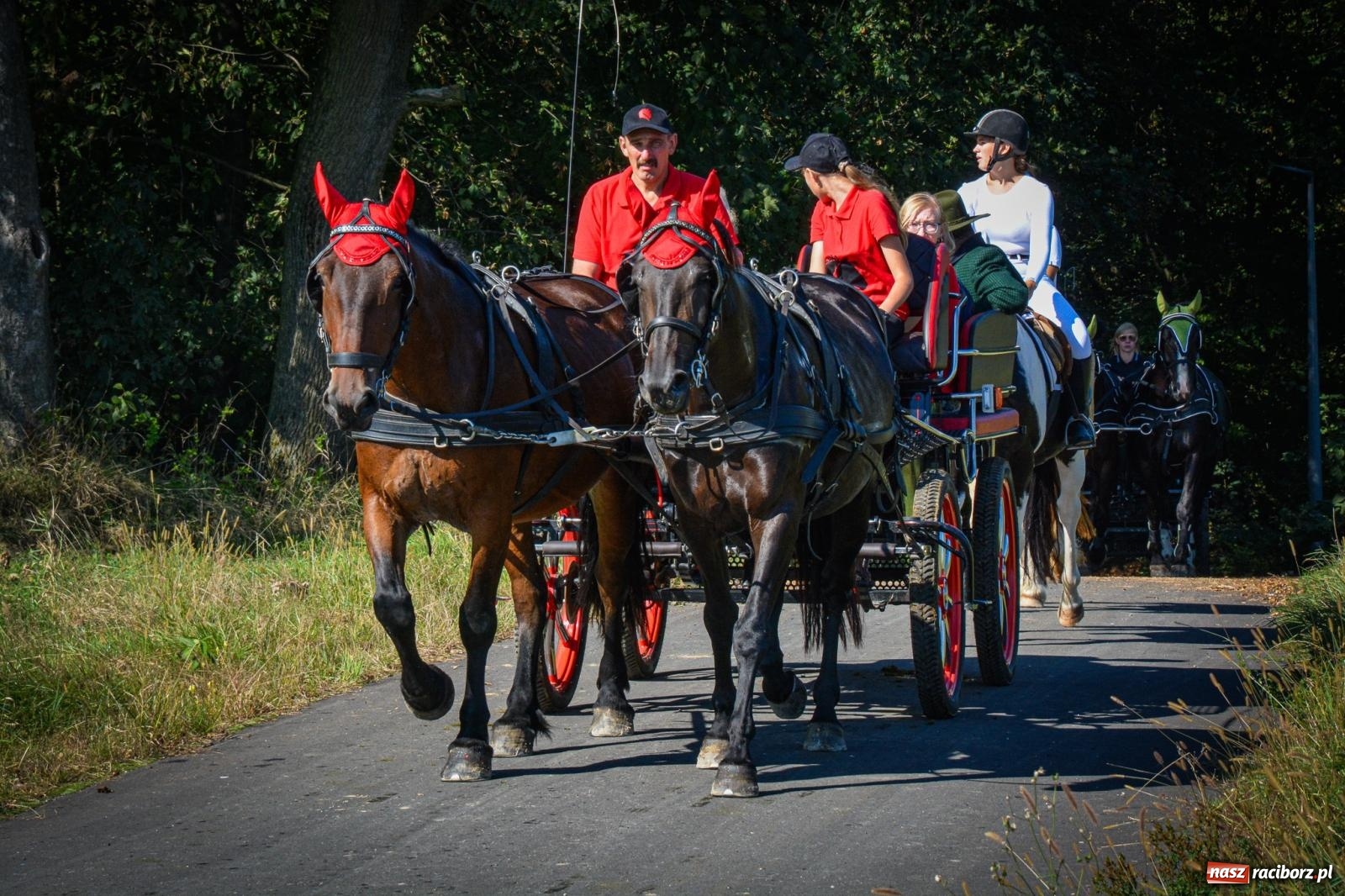 Zdjęcie w galerii na portalu naszraciborz.pl: Słoneczny Hubertus w Żerdzinach. Lisią kitę zerwał Jakub Niedbała wiadomości z regionu