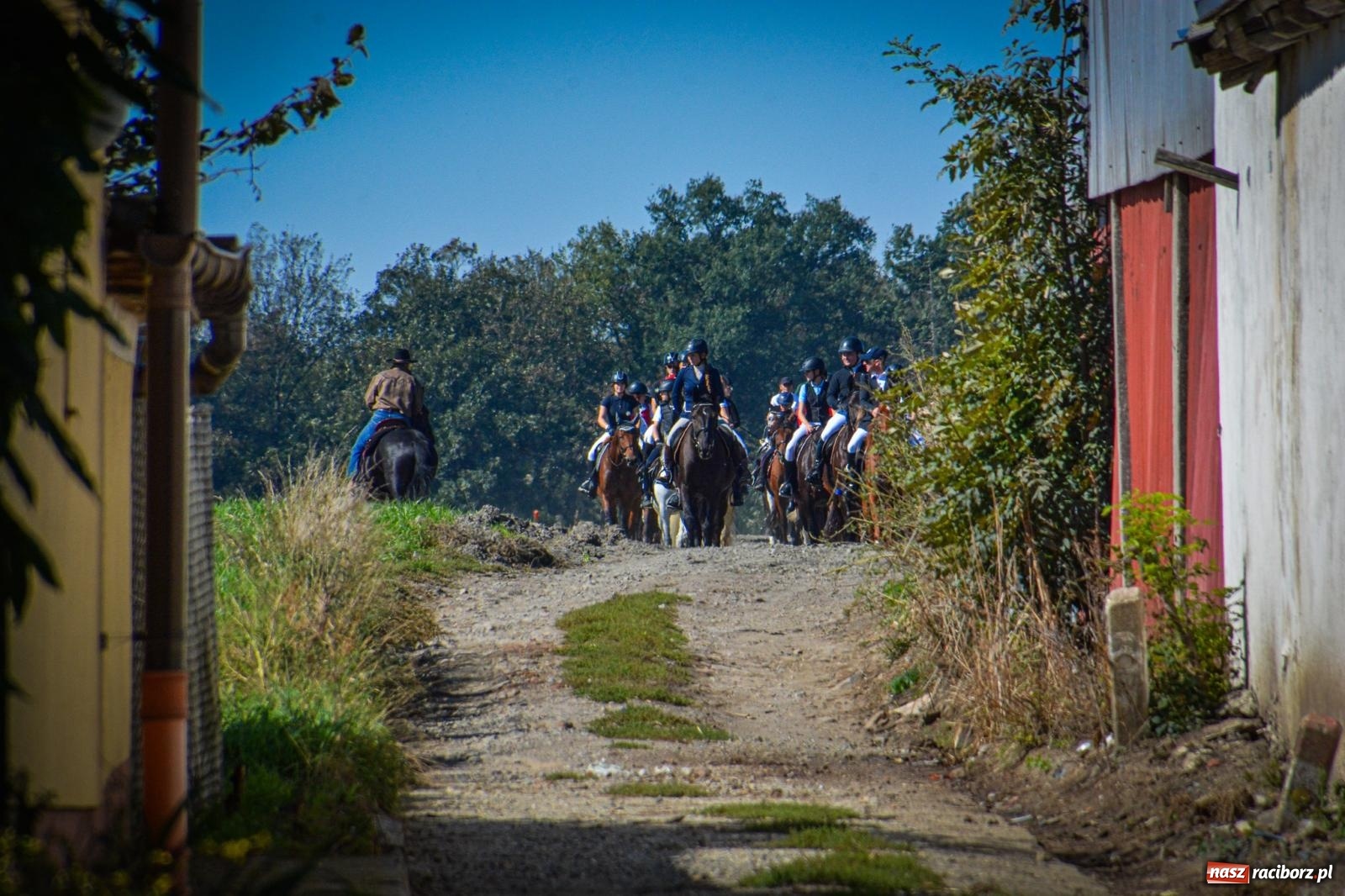 Zdjęcie w galerii na portalu naszraciborz.pl: Słoneczny Hubertus w Żerdzinach. Lisią kitę zerwał Jakub Niedbała wiadomości z regionu