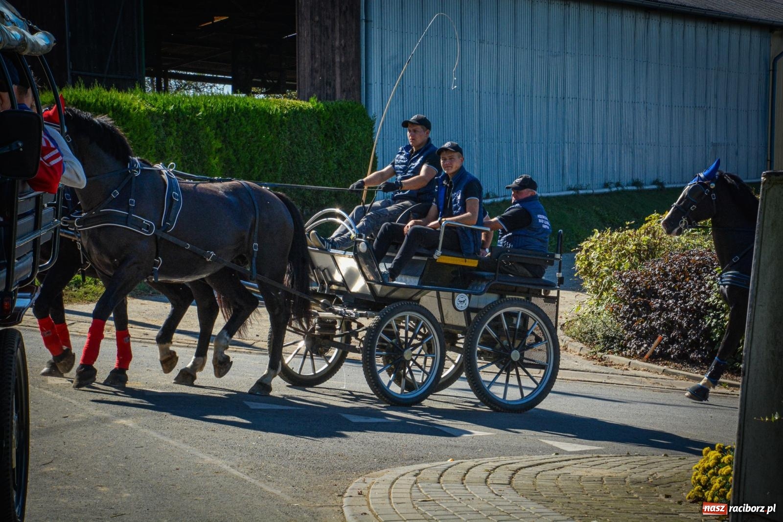 Zdjęcie w galerii na portalu naszraciborz.pl: Słoneczny Hubertus w Żerdzinach. Lisią kitę zerwał Jakub Niedbała wiadomości z regionu