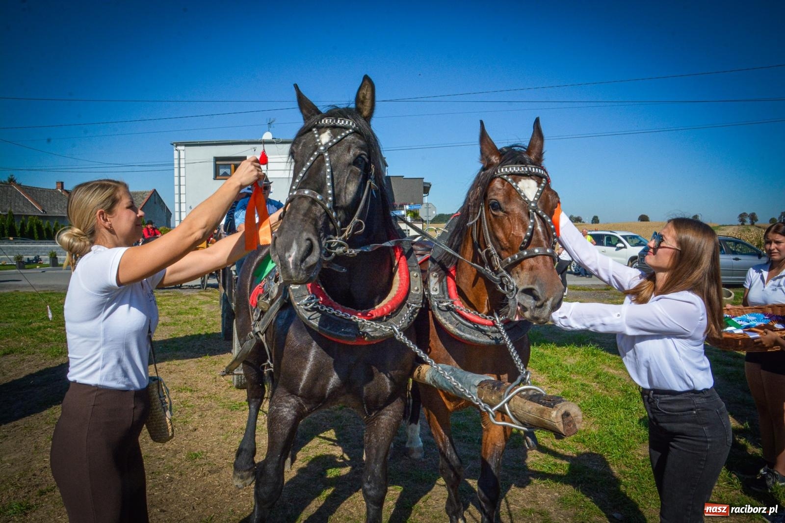 Zdjęcie w galerii na portalu naszraciborz.pl: Słoneczny Hubertus w Żerdzinach. Lisią kitę zerwał Jakub Niedbała wiadomości z regionu