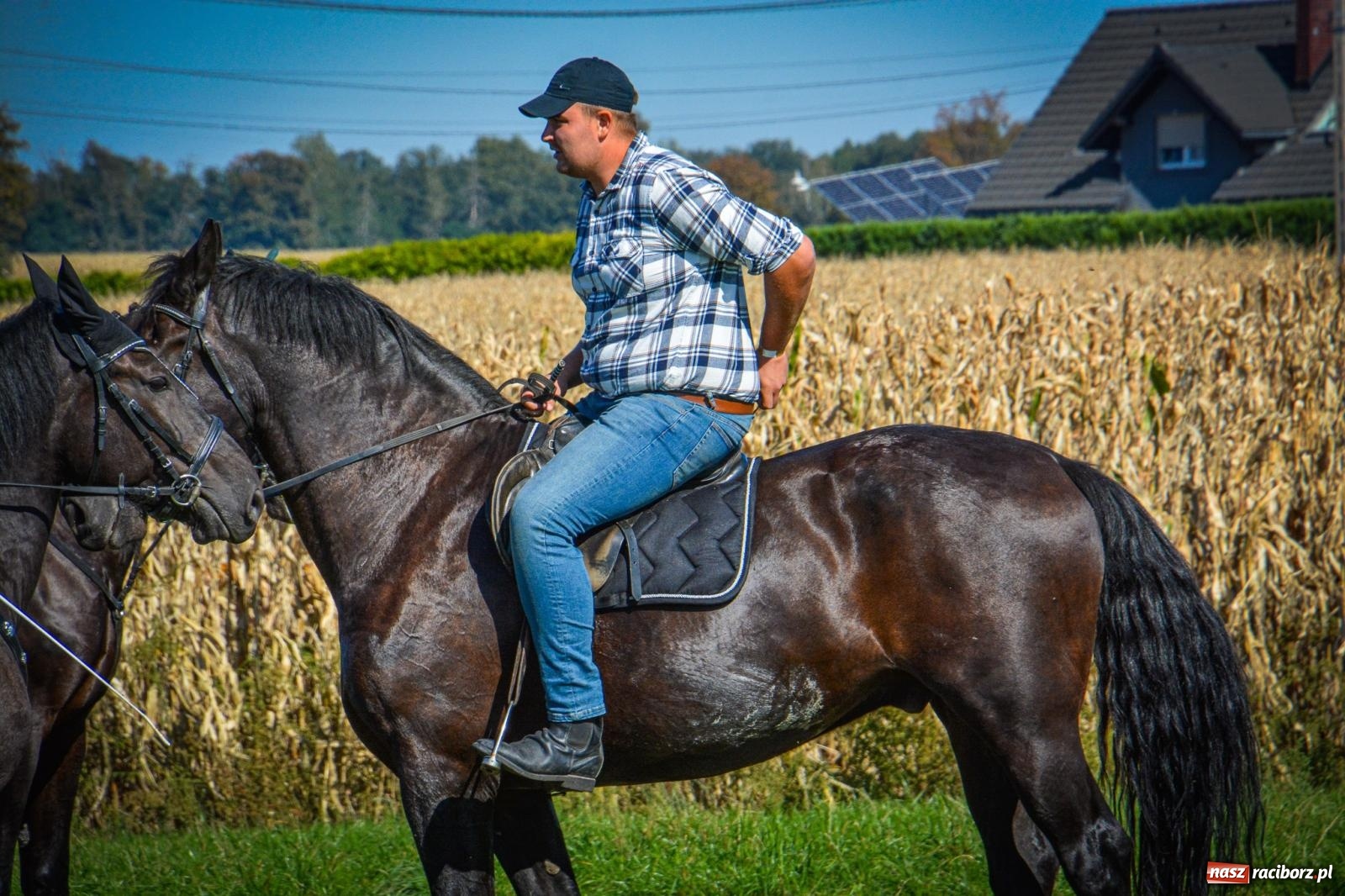 Zdjęcie w galerii na portalu naszraciborz.pl: Słoneczny Hubertus w Żerdzinach. Lisią kitę zerwał Jakub Niedbała wiadomości z regionu