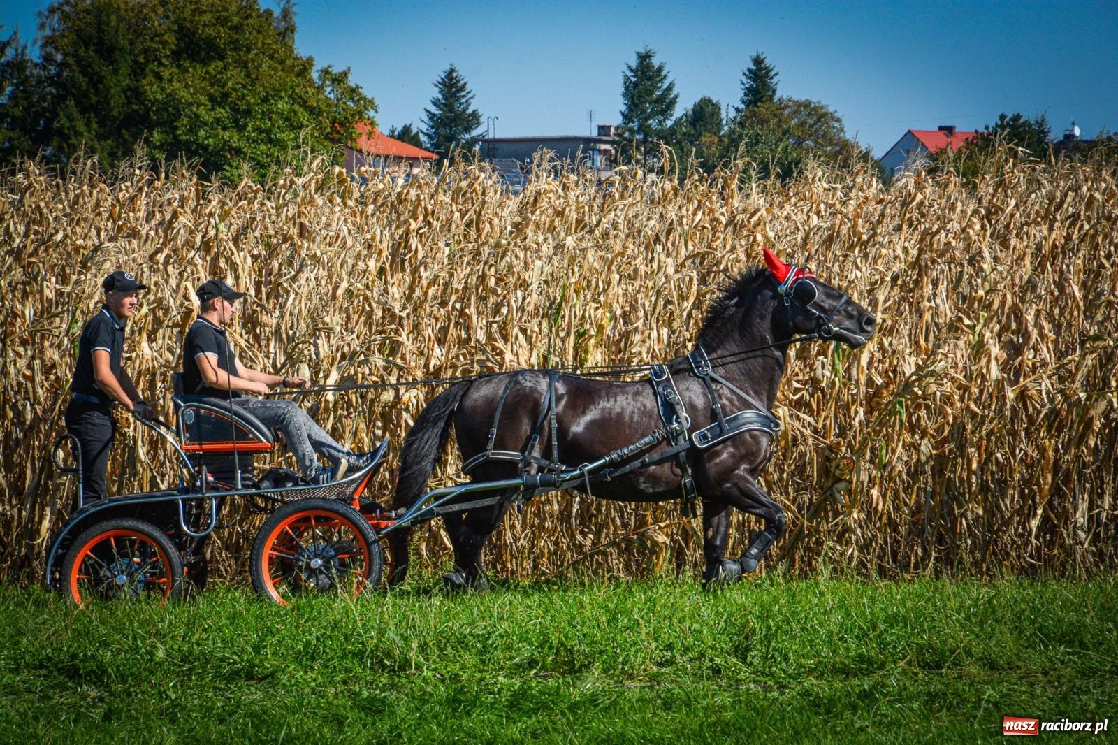 Zdjęcie w galerii na portalu naszraciborz.pl: Słoneczny Hubertus w Żerdzinach. Lisią kitę zerwał Jakub Niedbała wiadomości z regionu