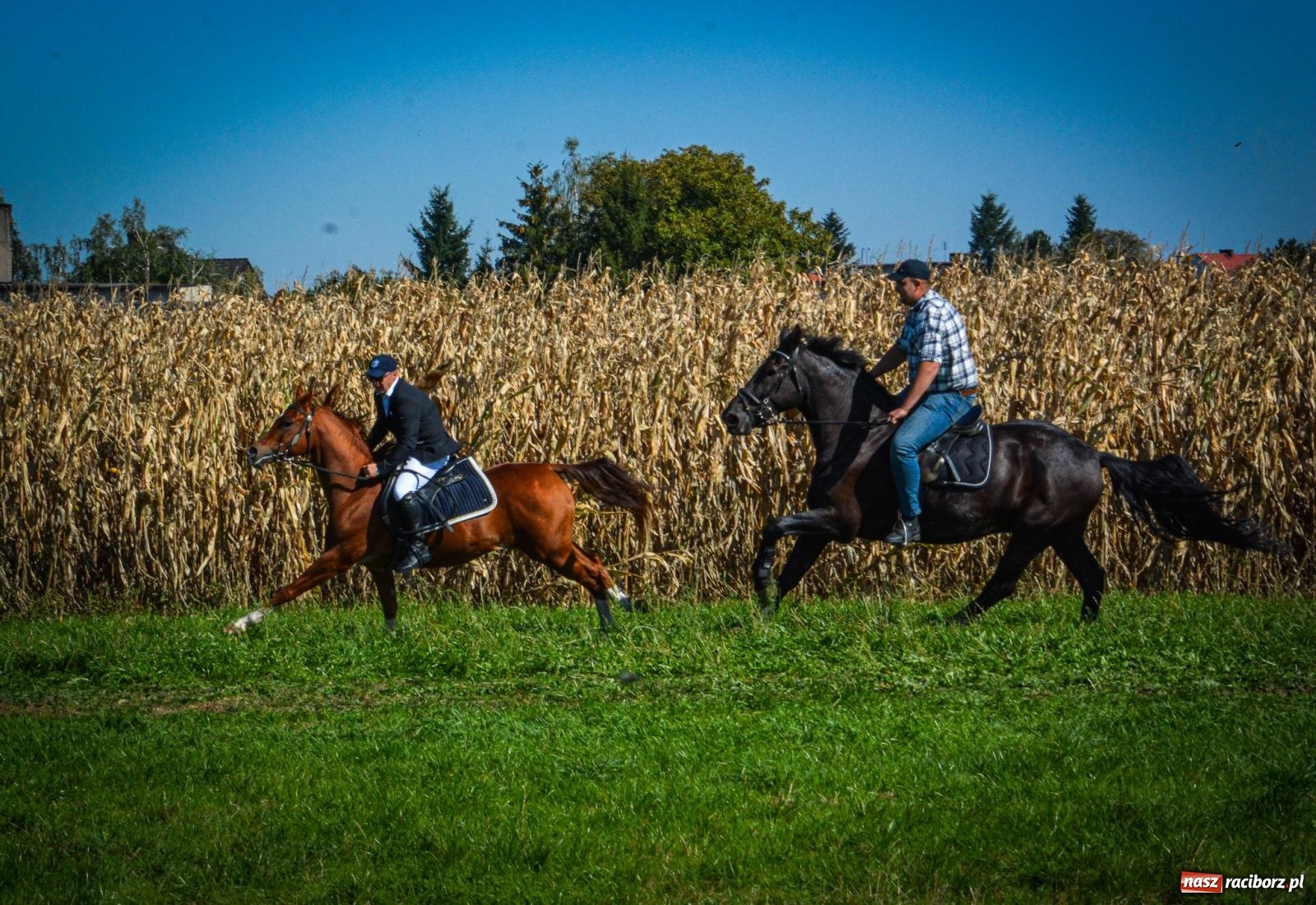 Zdjęcie w galerii na portalu naszraciborz.pl: Słoneczny Hubertus w Żerdzinach. Lisią kitę zerwał Jakub Niedbała wiadomości z regionu