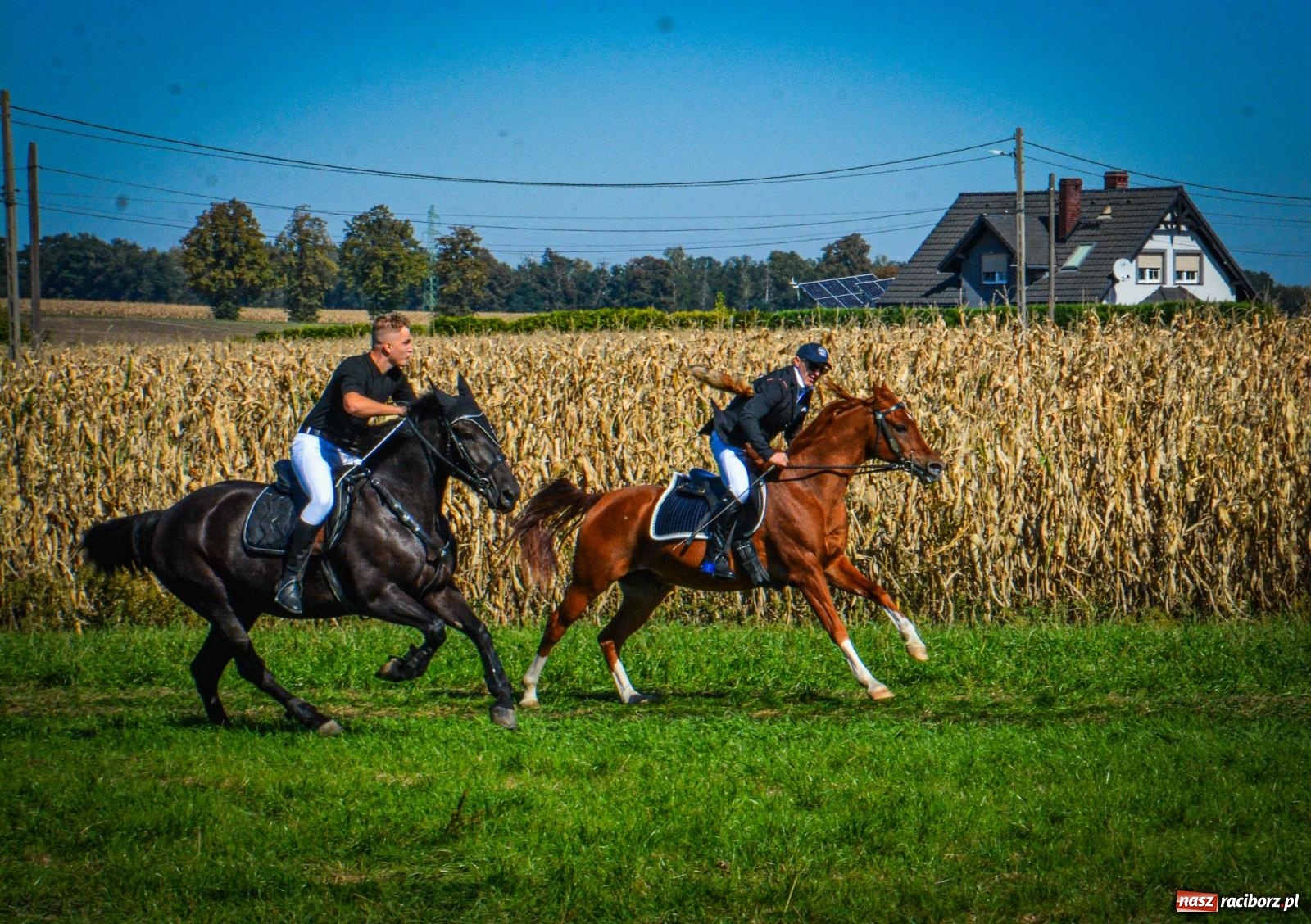 Zdjęcie w galerii na portalu naszraciborz.pl: Słoneczny Hubertus w Żerdzinach. Lisią kitę zerwał Jakub Niedbała wiadomości z regionu