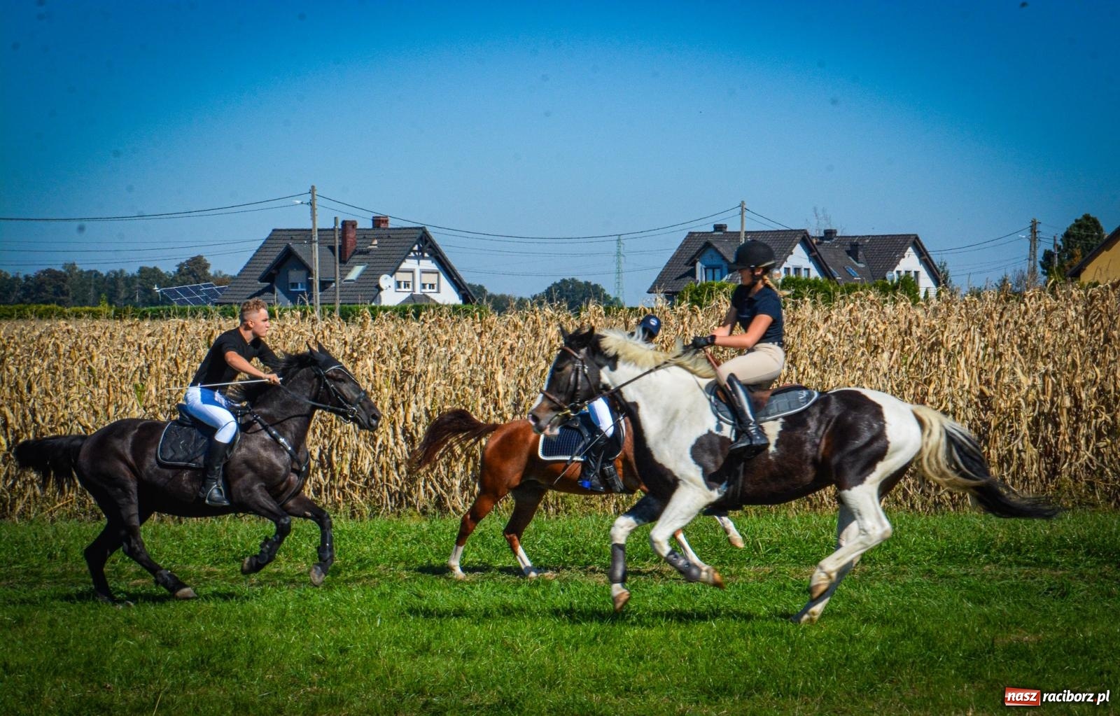 Zdjęcie w galerii na portalu naszraciborz.pl: Słoneczny Hubertus w Żerdzinach. Lisią kitę zerwał Jakub Niedbała wiadomości z regionu