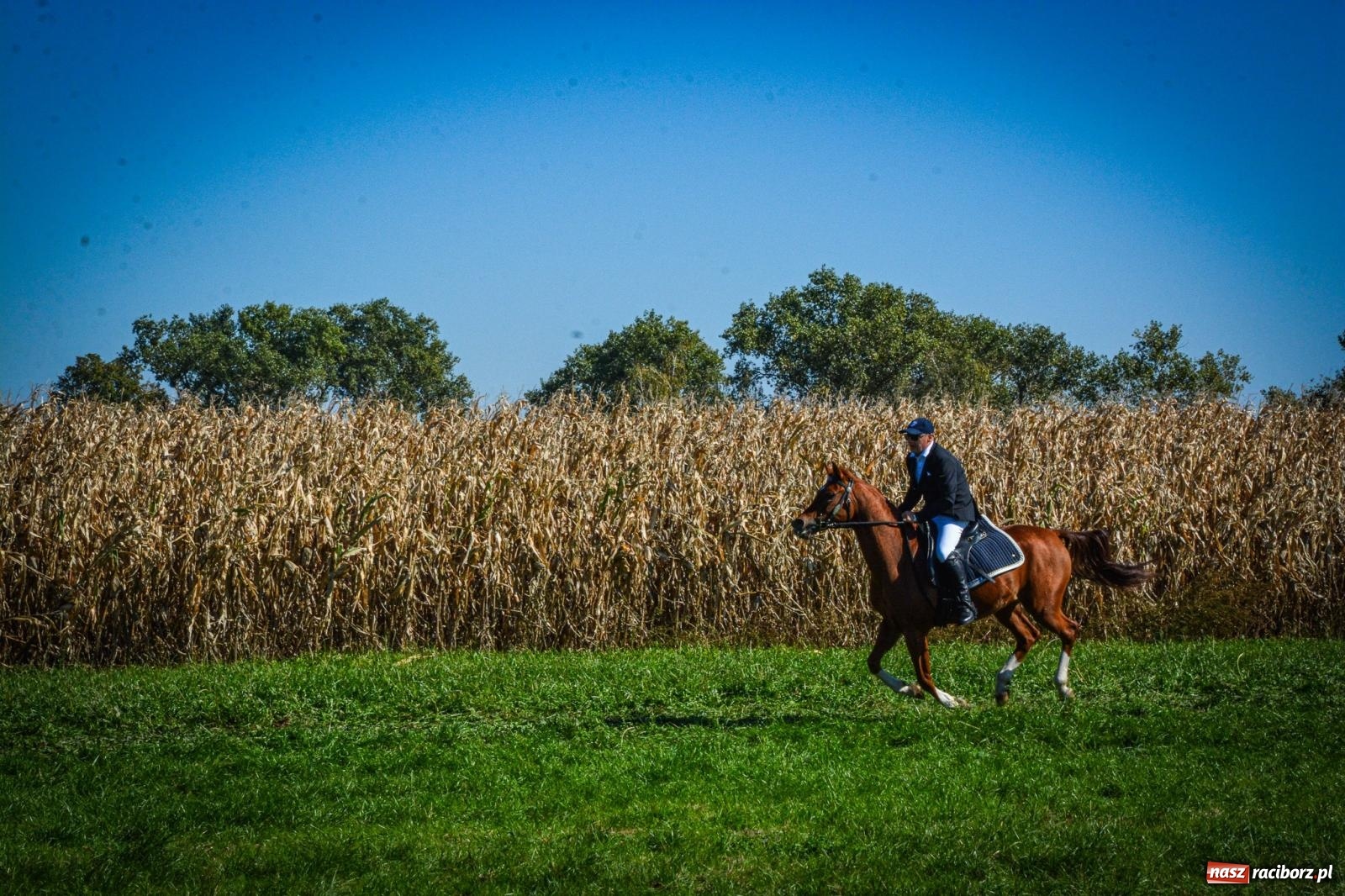 Zdjęcie w galerii na portalu naszraciborz.pl: Słoneczny Hubertus w Żerdzinach. Lisią kitę zerwał Jakub Niedbała wiadomości z regionu