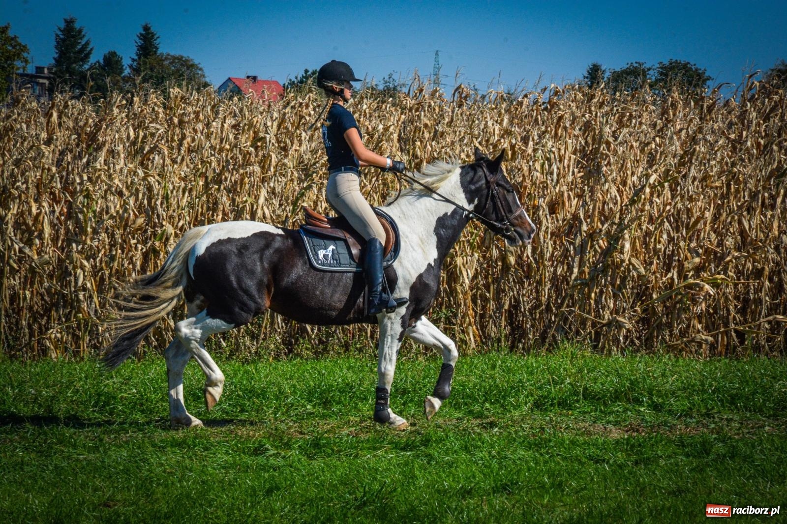Zdjęcie w galerii na portalu naszraciborz.pl: Słoneczny Hubertus w Żerdzinach. Lisią kitę zerwał Jakub Niedbała wiadomości z regionu