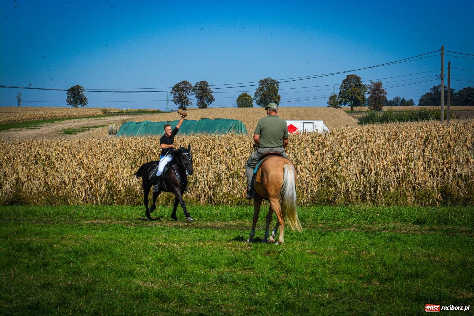Zdjęcie w galerii na portalu naszraciborz.pl: Słoneczny Hubertus w Żerdzinach. Lisią kitę zerwał Jakub Niedbała wiadomości z regionu