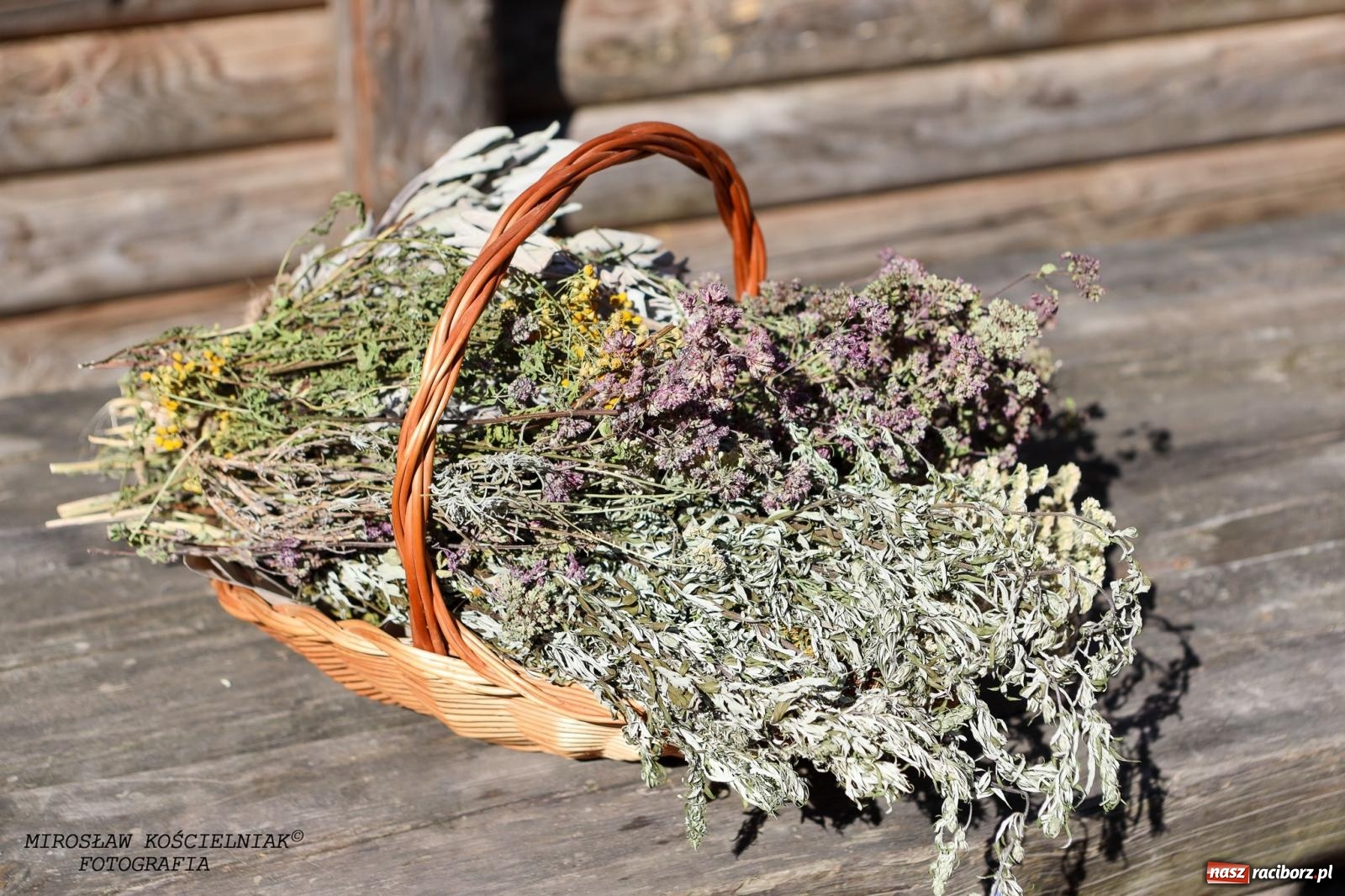 Zdjęcie w galerii na portalu naszraciborz.pl: Obfitość i magia w raciborskim grodzie [FOTO i WIDEO] wiadomości z regionu