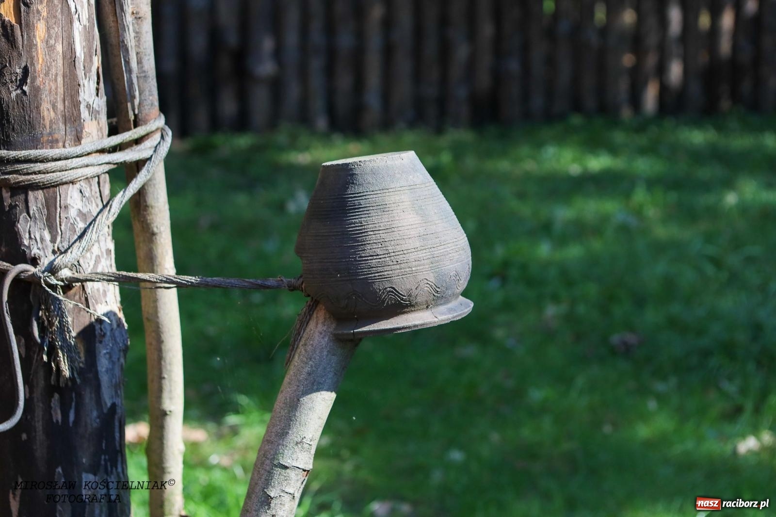 Zdjęcie w galerii na portalu naszraciborz.pl: Obfitość i magia w raciborskim grodzie [FOTO i WIDEO] wiadomości z regionu