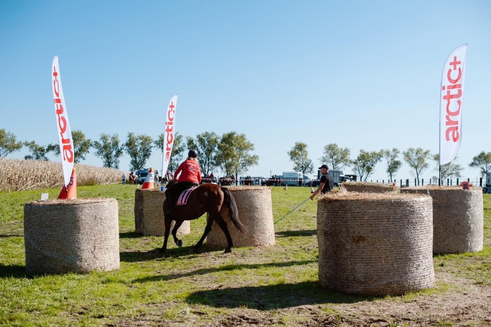 Zdjęcie w galerii na portalu naszraciborz.pl: Zręczność w siodle, hobby horse i skoki. Weekend w siodle w Żerdzinach wiadomości z regionu