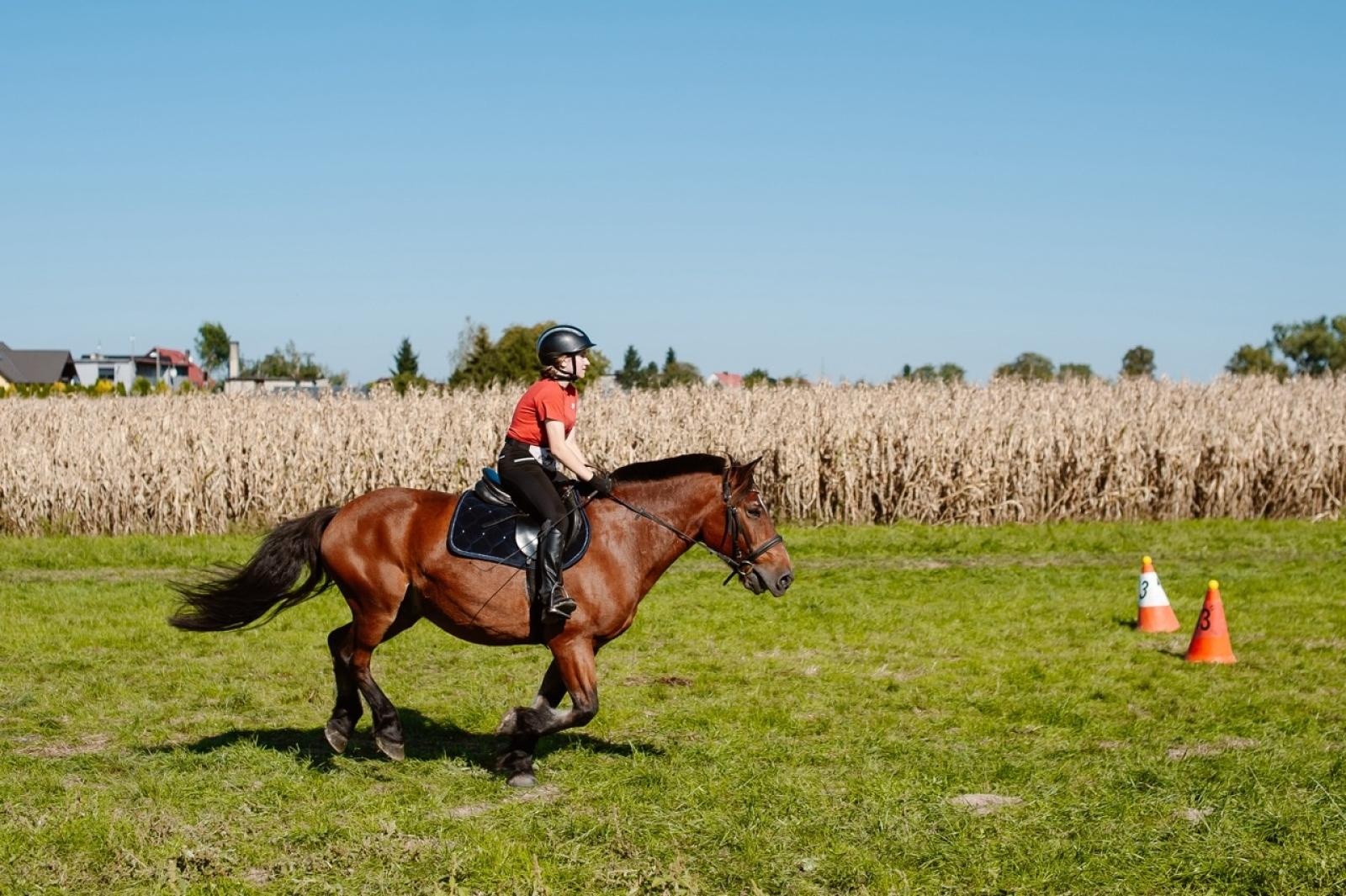 Zdjęcie w galerii na portalu naszraciborz.pl: Zręczność w siodle, hobby horse i skoki. Weekend w siodle w Żerdzinach wiadomości z regionu