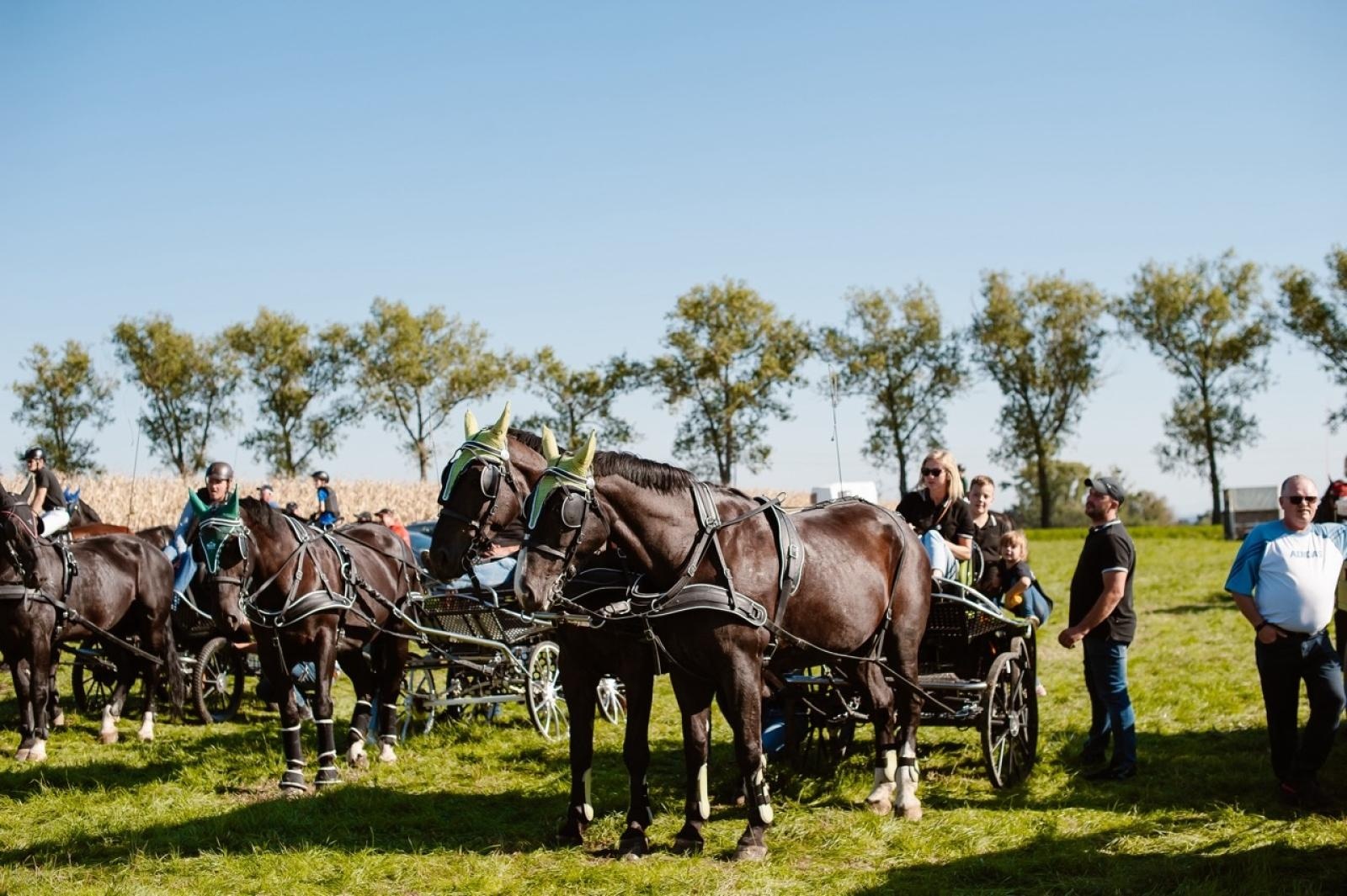 Zdjęcie w galerii na portalu naszraciborz.pl: Zręczność w siodle, hobby horse i skoki. Weekend w siodle w Żerdzinach wiadomości z regionu