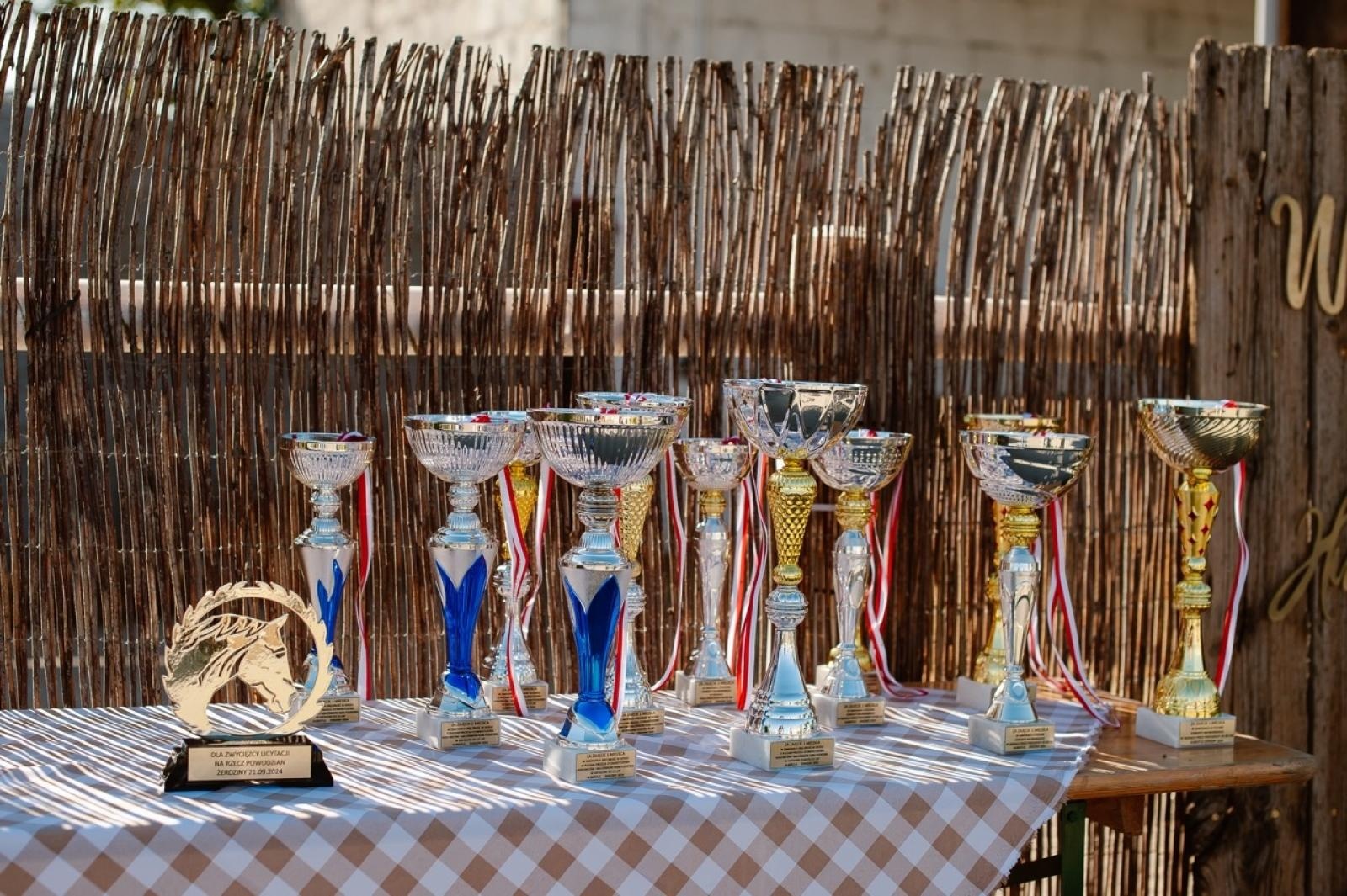 Zdjęcie w galerii na portalu naszraciborz.pl: Zręczność w siodle, hobby horse i skoki. Weekend w siodle w Żerdzinach wiadomości z regionu