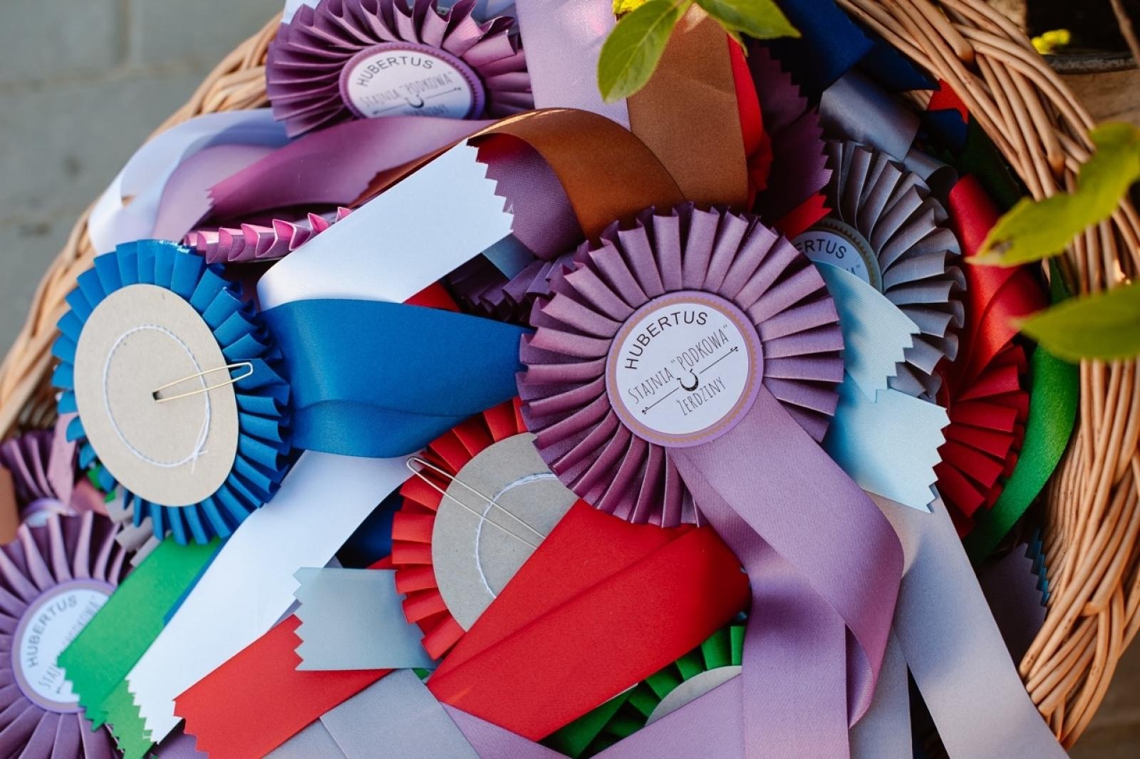 Zdjęcie w galerii na portalu naszraciborz.pl: Zręczność w siodle, hobby horse i skoki. Weekend w siodle w Żerdzinach wiadomości z regionu