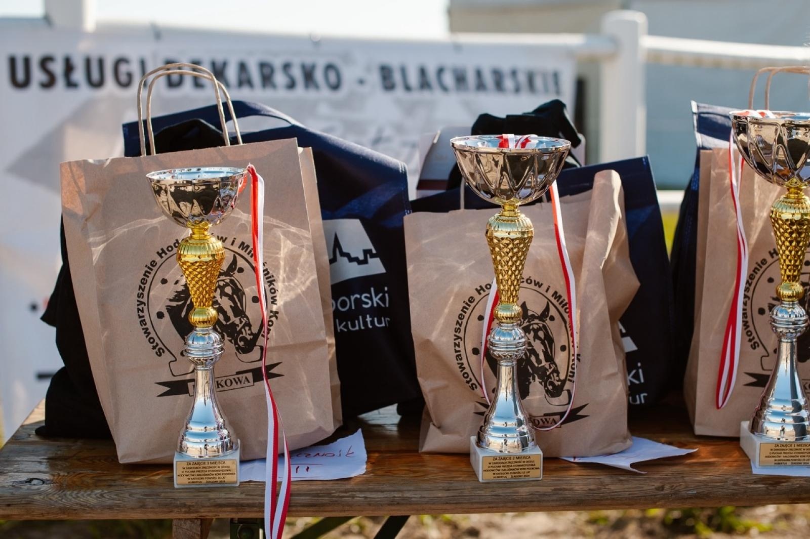 Zdjęcie w galerii na portalu naszraciborz.pl: Zręczność w siodle, hobby horse i skoki. Weekend w siodle w Żerdzinach wiadomości z regionu