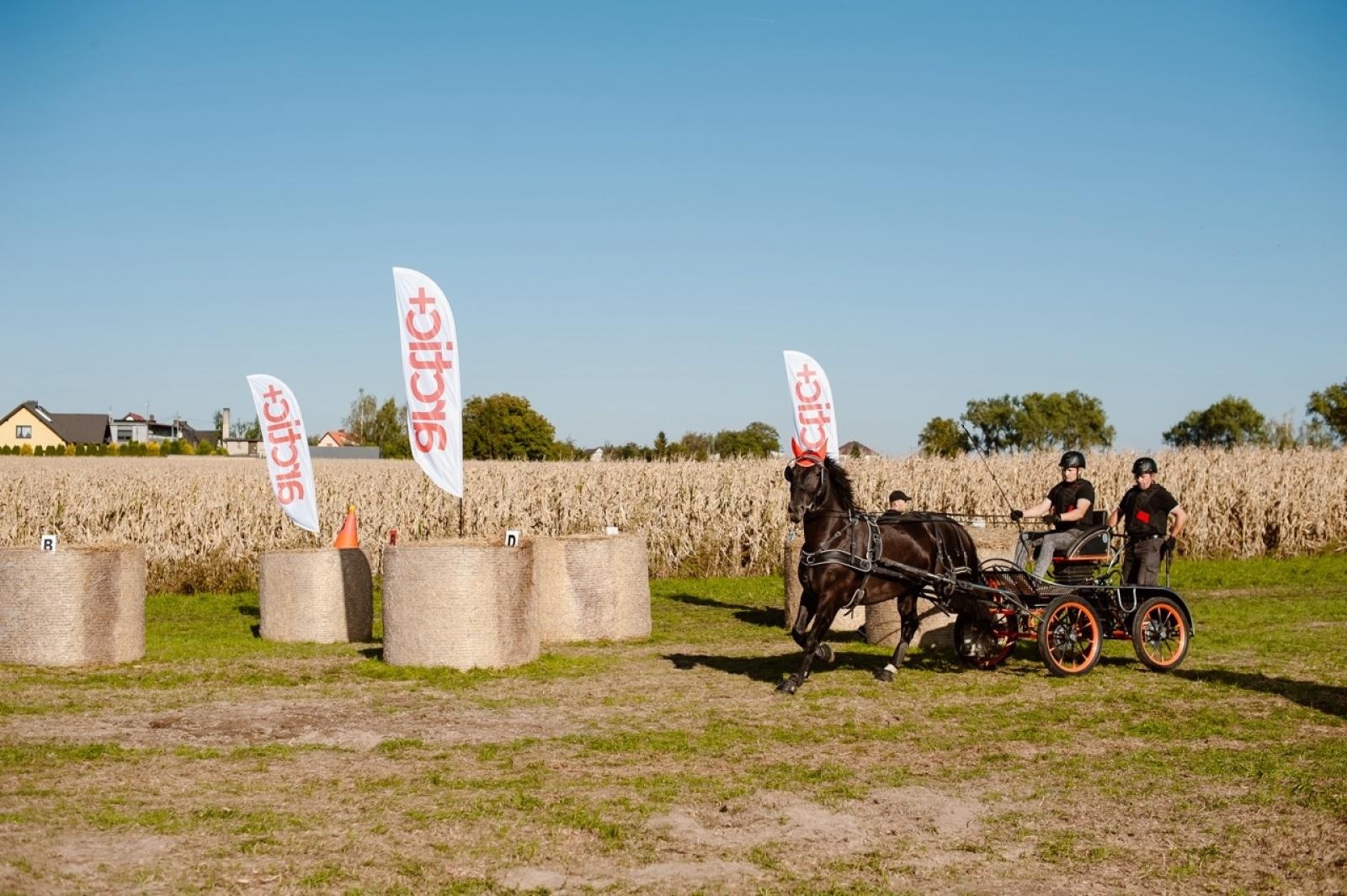 Zdjęcie w galerii na portalu naszraciborz.pl: Zręczność w siodle, hobby horse i skoki. Weekend w siodle w Żerdzinach wiadomości z regionu
