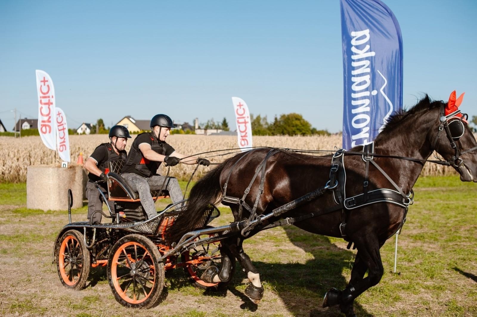Zdjęcie w galerii na portalu naszraciborz.pl: Zręczność w siodle, hobby horse i skoki. Weekend w siodle w Żerdzinach wiadomości z regionu