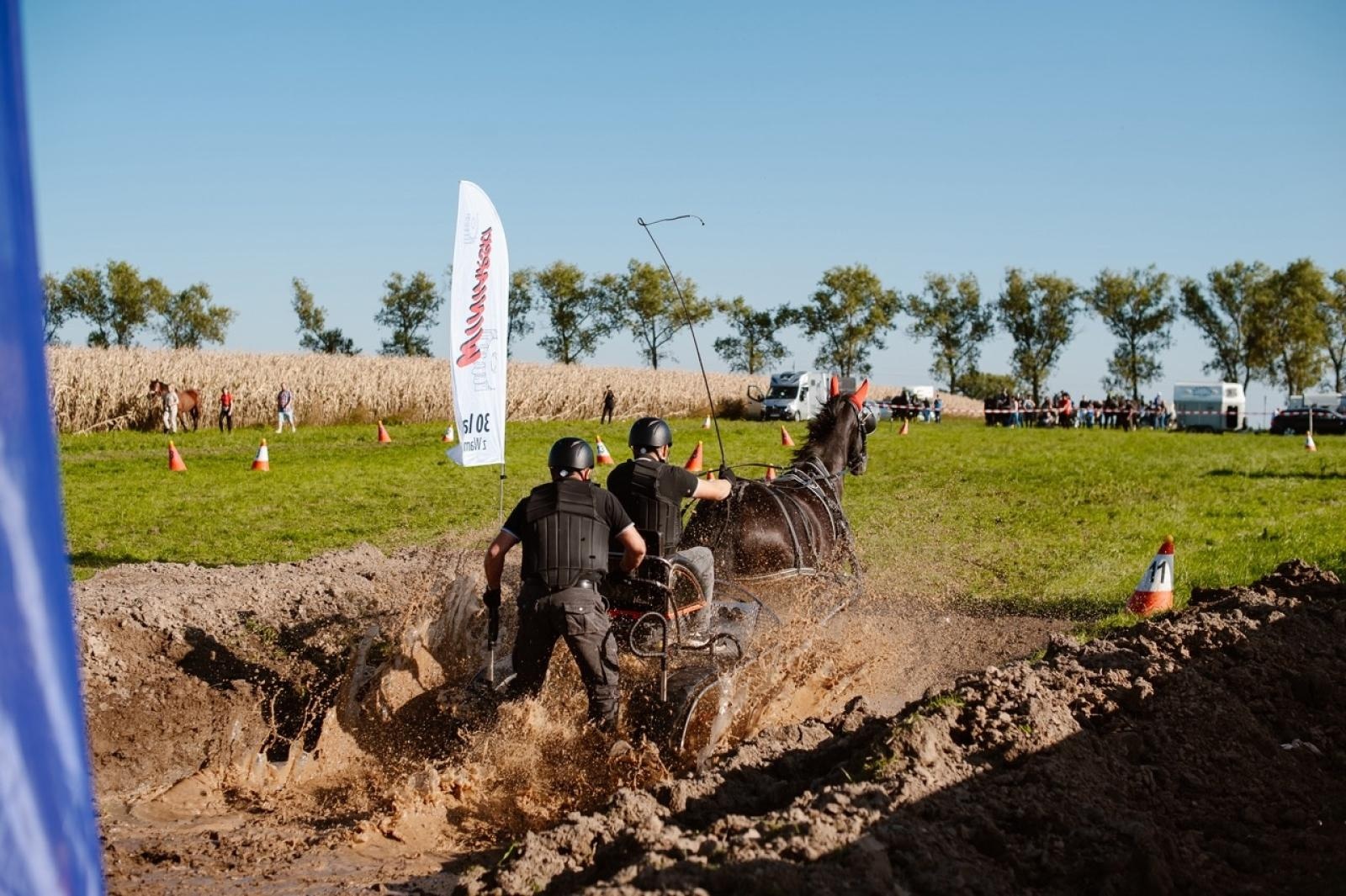 Zdjęcie w galerii na portalu naszraciborz.pl: Zręczność w siodle, hobby horse i skoki. Weekend w siodle w Żerdzinach wiadomości z regionu