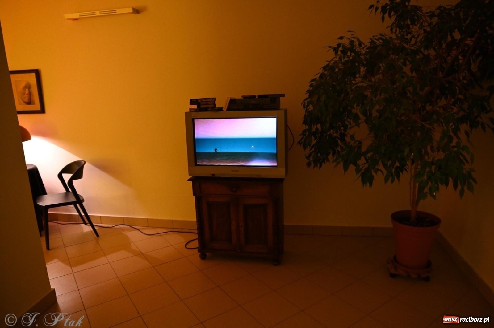 Zdjęcie w galerii na portalu naszraciborz.pl: Labirynt znów ożył. Spotkanie i dyskoteka w stylu lat 80-tych za nami [FOTO i WIDEO] wiadomości z regionu