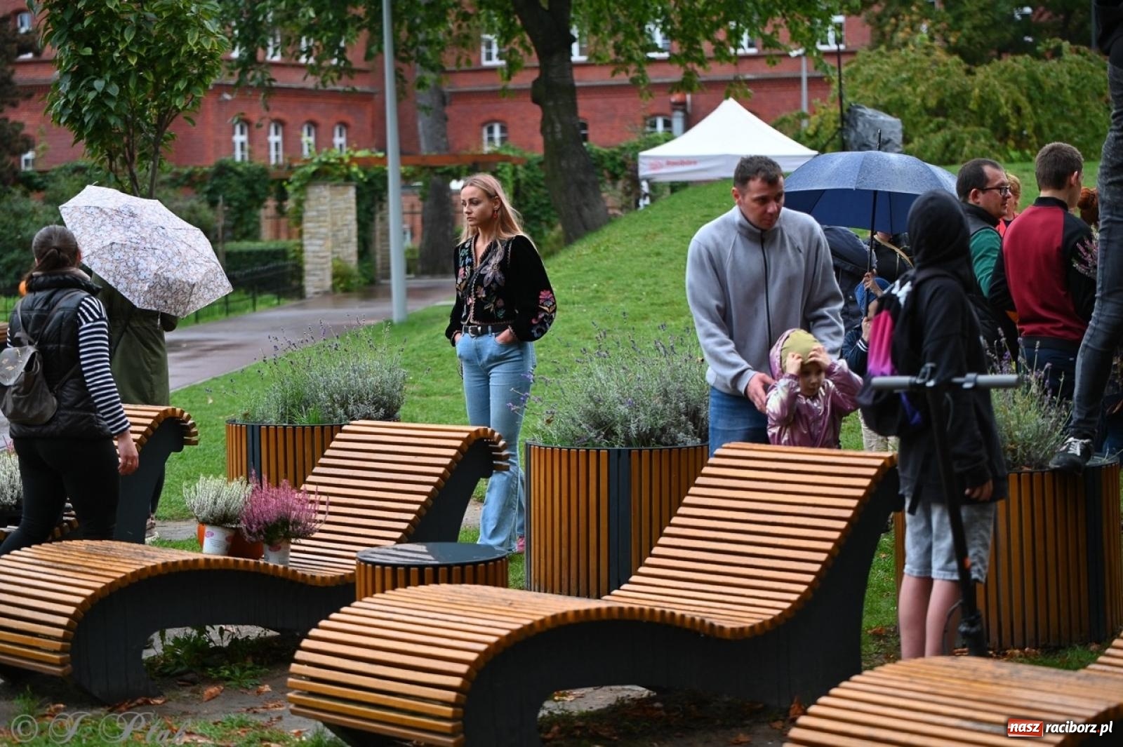 Zdjęcie w galerii na portalu naszraciborz.pl: Święto Dyni w Ogródku Jordanowskim: celebracja jesieni pełna barw i zabawy wiadomości z regionu