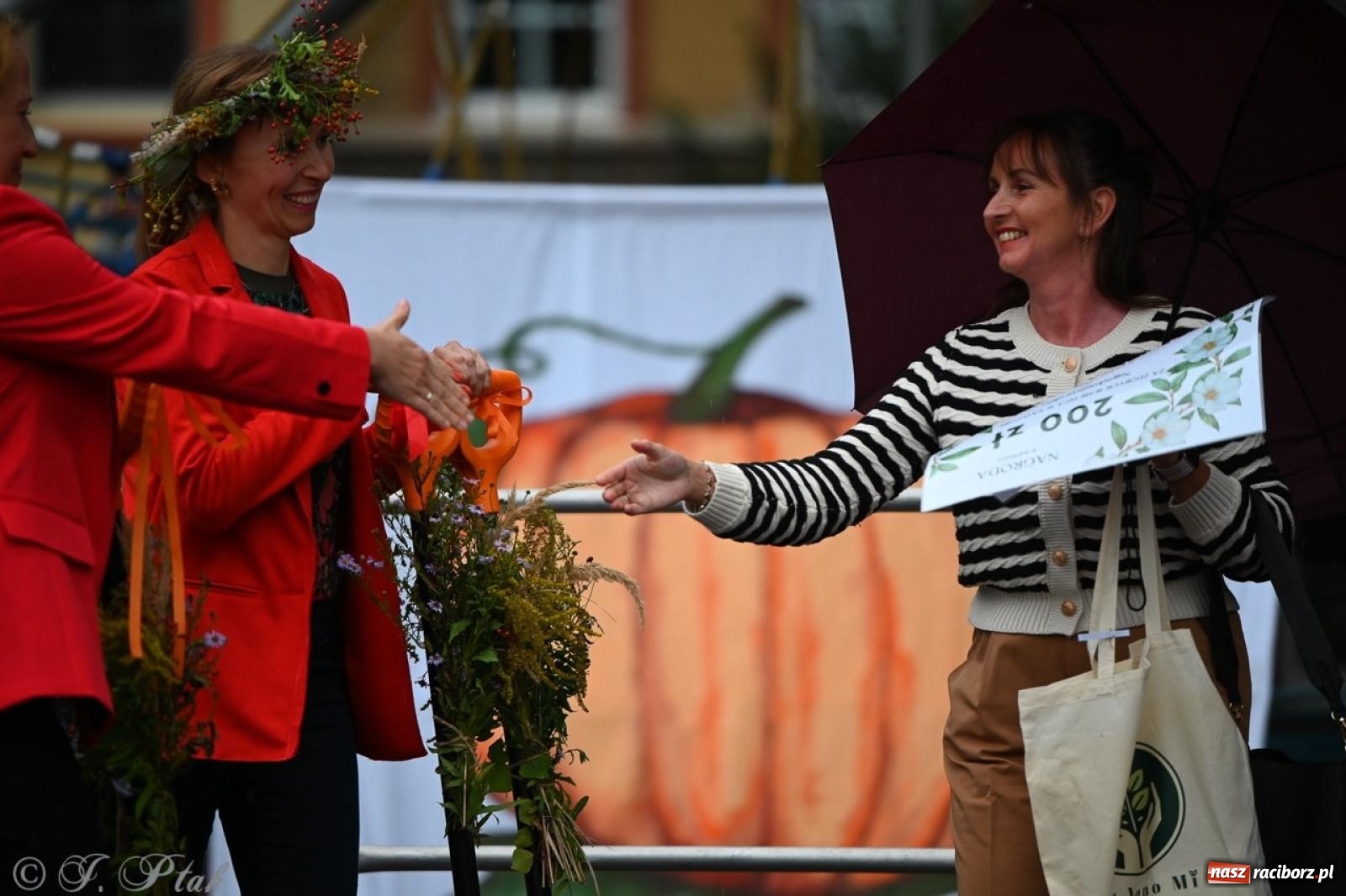 Zdjęcie w galerii na portalu naszraciborz.pl: Święto Dyni w Ogródku Jordanowskim: celebracja jesieni pełna barw i zabawy wiadomości z regionu