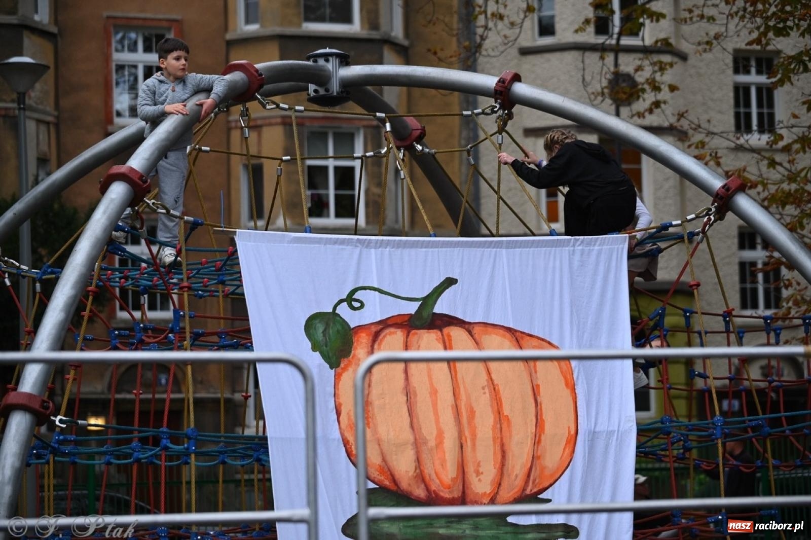 Zdjęcie w galerii na portalu naszraciborz.pl: Święto Dyni w Ogródku Jordanowskim: celebracja jesieni pełna barw i zabawy wiadomości z regionu