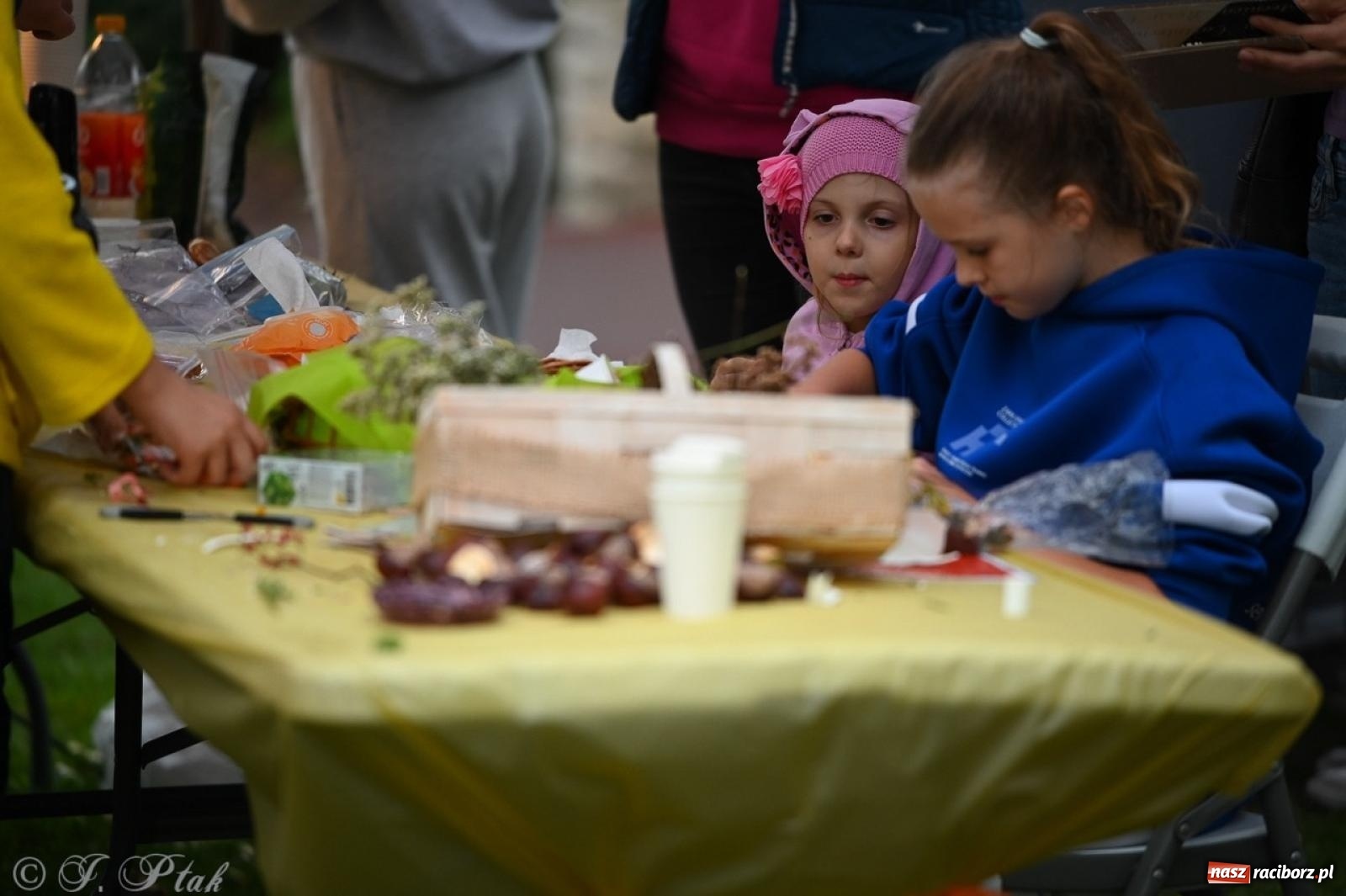 Zdjęcie w galerii na portalu naszraciborz.pl: Święto Dyni w Ogródku Jordanowskim: celebracja jesieni pełna barw i zabawy wiadomości z regionu