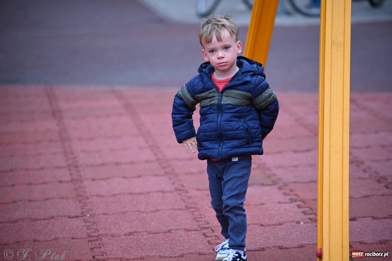 Zdjęcie w galerii na portalu naszraciborz.pl: Święto Dyni w Ogródku Jordanowskim: celebracja jesieni pełna barw i zabawy wiadomości z regionu