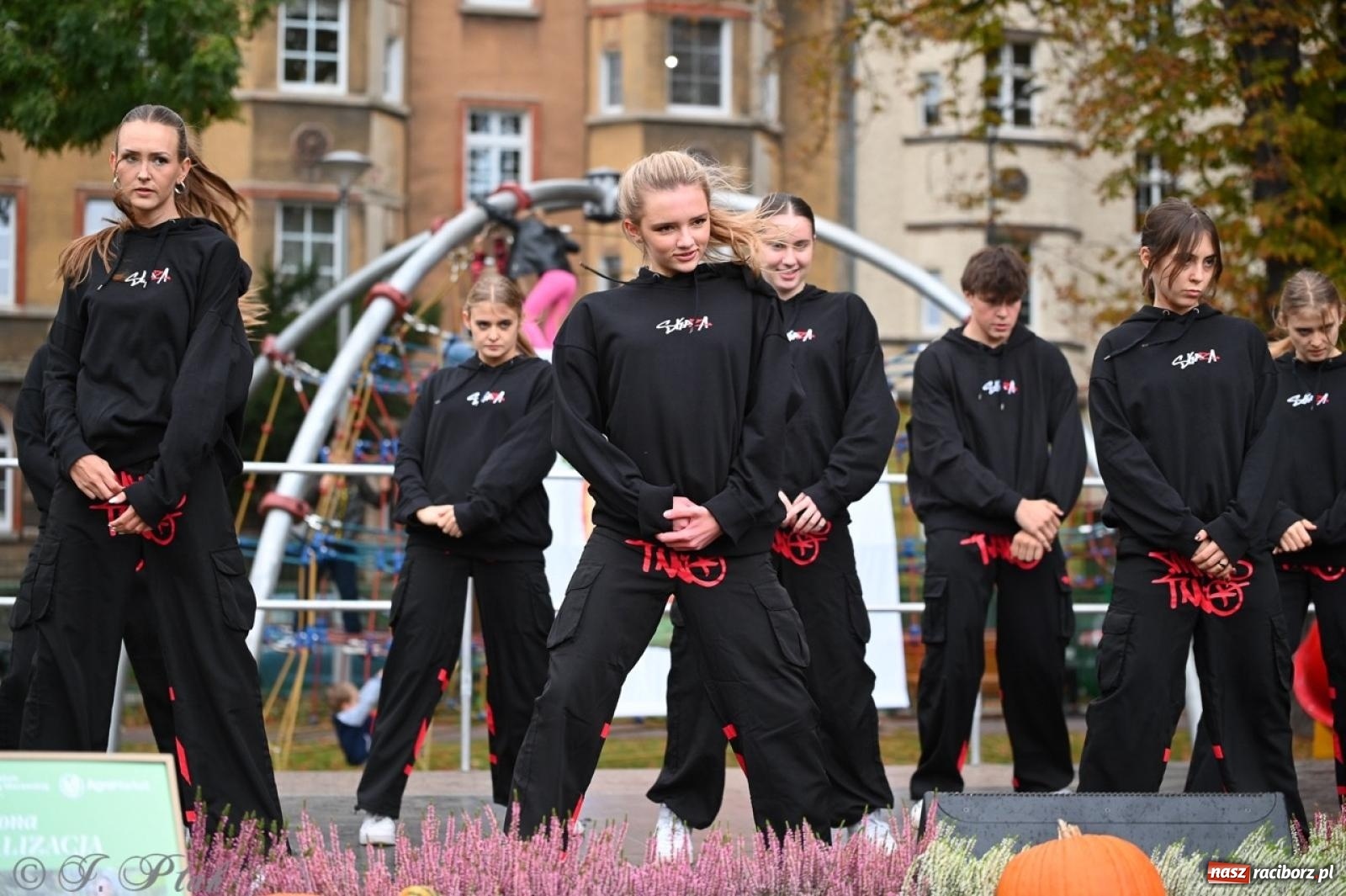 Zdjęcie w galerii na portalu naszraciborz.pl: Święto Dyni w Ogródku Jordanowskim: celebracja jesieni pełna barw i zabawy wiadomości z regionu