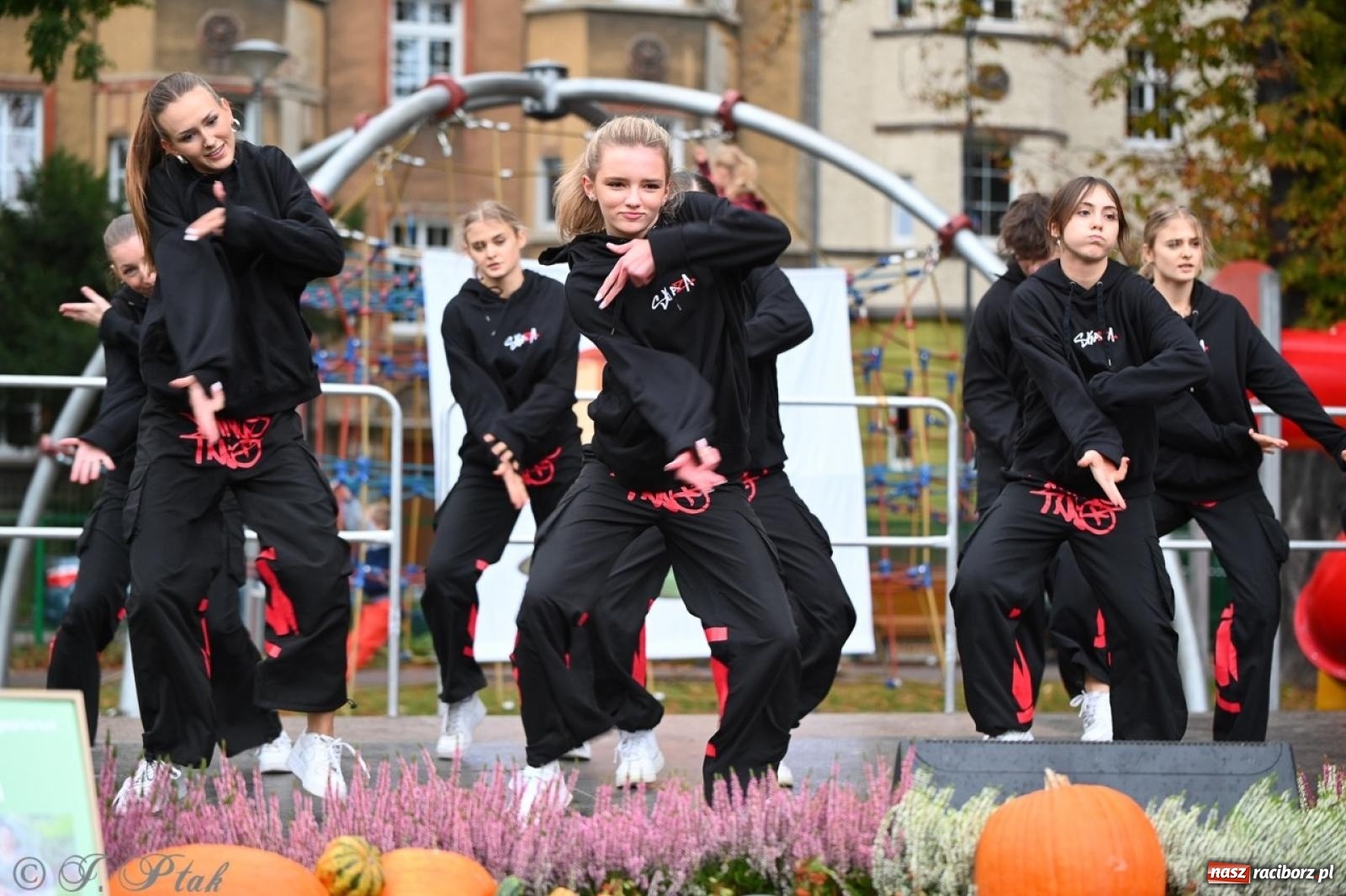 Zdjęcie w galerii na portalu naszraciborz.pl: Święto Dyni w Ogródku Jordanowskim: celebracja jesieni pełna barw i zabawy wiadomości z regionu