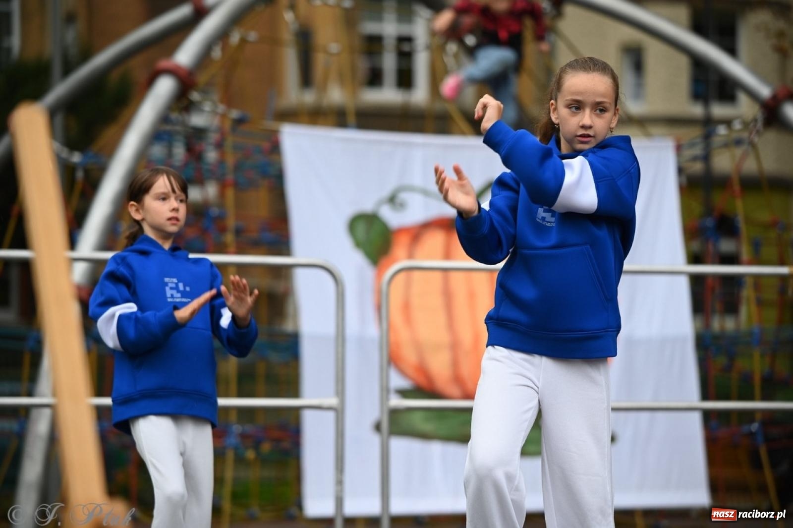 Zdjęcie w galerii na portalu naszraciborz.pl: Święto Dyni w Ogródku Jordanowskim: celebracja jesieni pełna barw i zabawy wiadomości z regionu