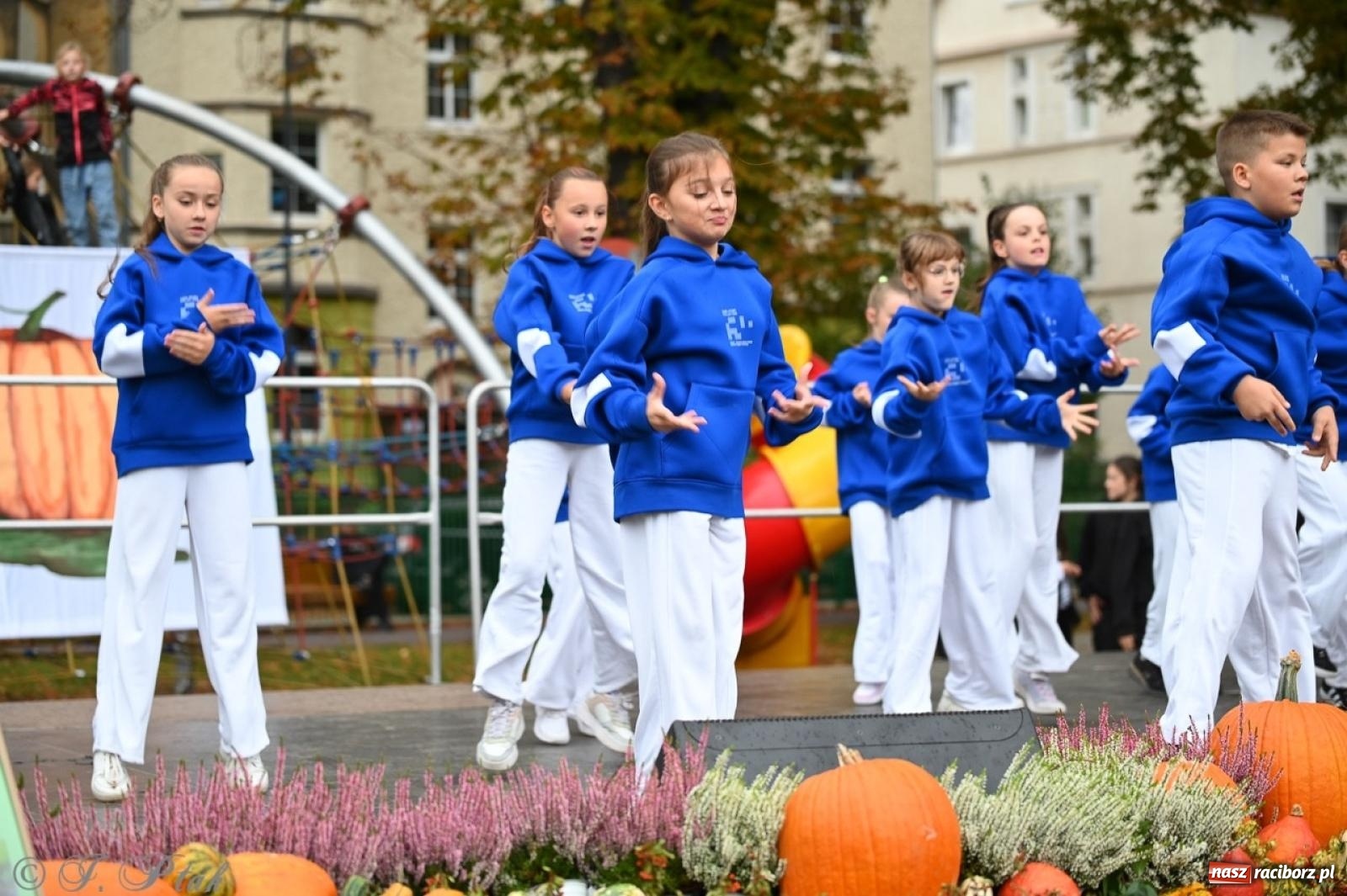 Zdjęcie w galerii na portalu naszraciborz.pl: Święto Dyni w Ogródku Jordanowskim: celebracja jesieni pełna barw i zabawy wiadomości z regionu