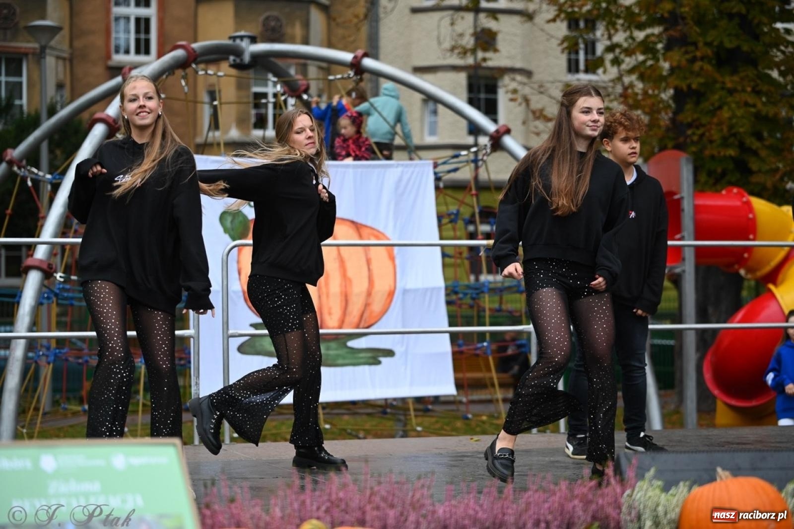 Zdjęcie w galerii na portalu naszraciborz.pl: Święto Dyni w Ogródku Jordanowskim: celebracja jesieni pełna barw i zabawy wiadomości z regionu